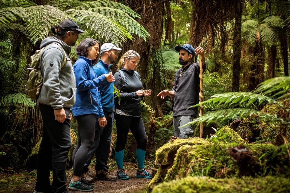 Guests from Kohutapu Lodge enjoying a guided forest walk.