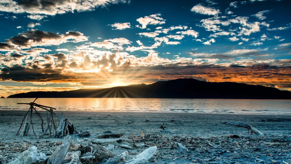 A driftwood sculpture on the beach during a sunset in Kapiti Coast, New Zealand.