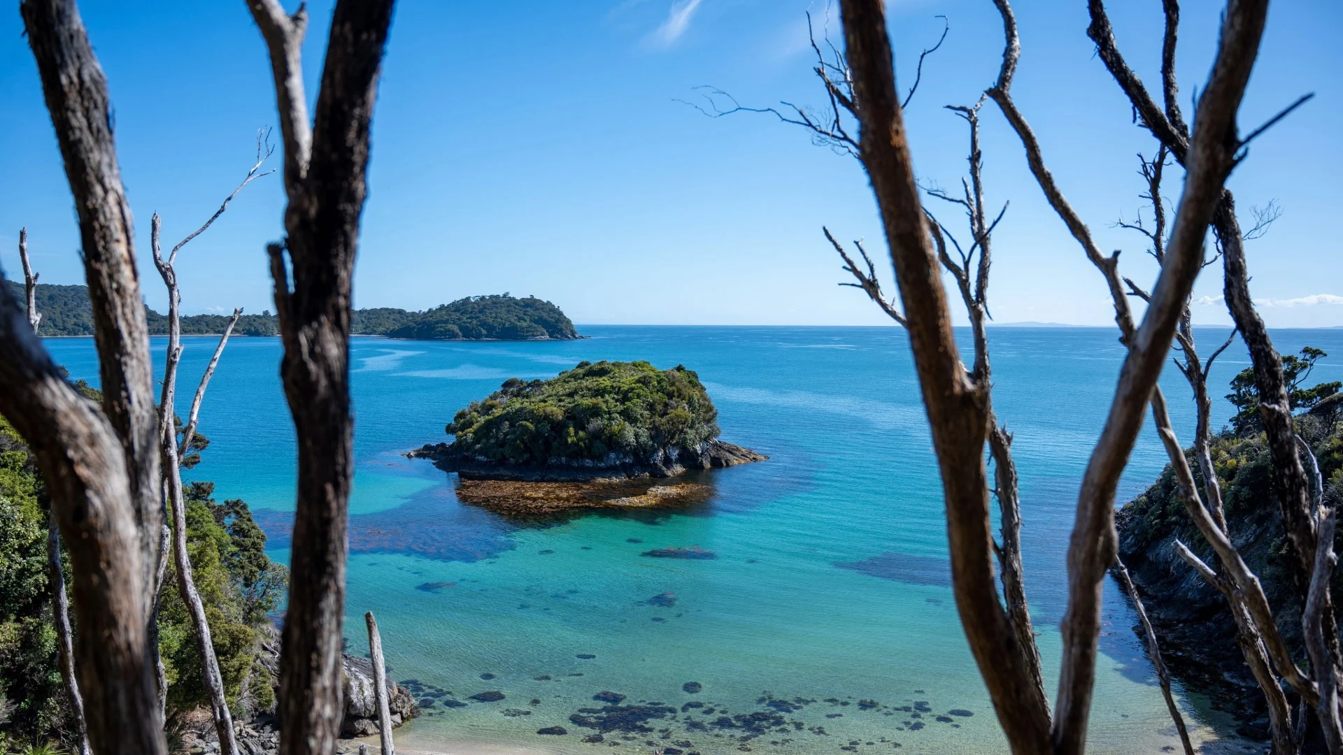 Best Place to Travel in New Zealand: A Guide to Exploring Aotearoa Your Way