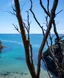 Blog Image for Best Place to Travel in New Zealand: A Guide to Exploring Aotearoa Your Way