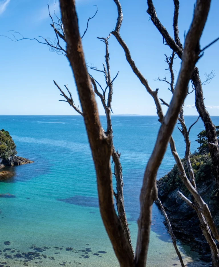 Blog Image for Best Place to Travel in New Zealand: A Guide to Exploring Aotearoa Your Way