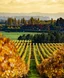 Blog Image for Best Wine Regions to Visit in New Zealand: A Guide for Wine Lovers