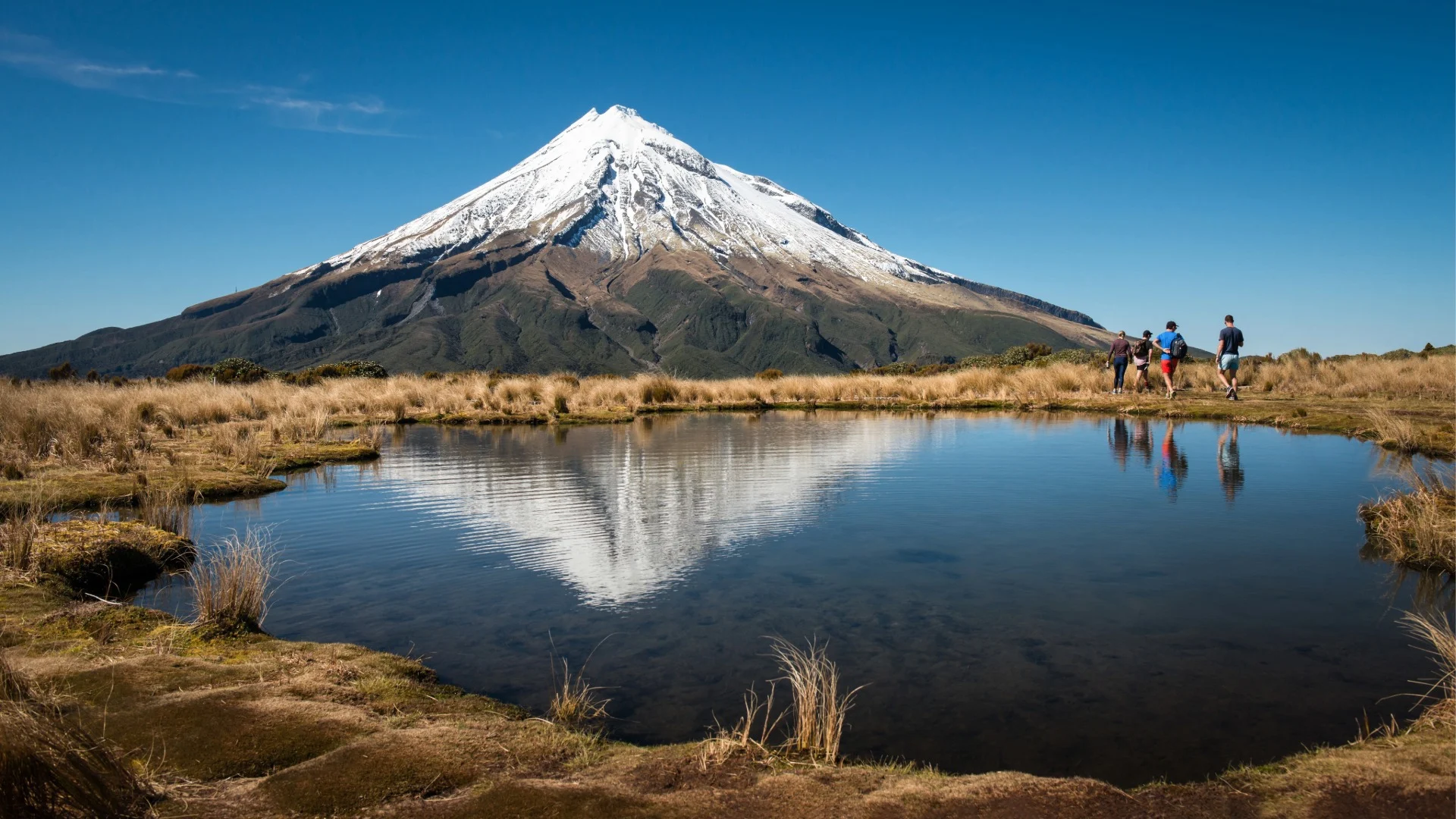 Discover the 13 National Parks of New Zealand