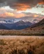 Blog Image for Everything You Need to Know About Flights to New Zealand
