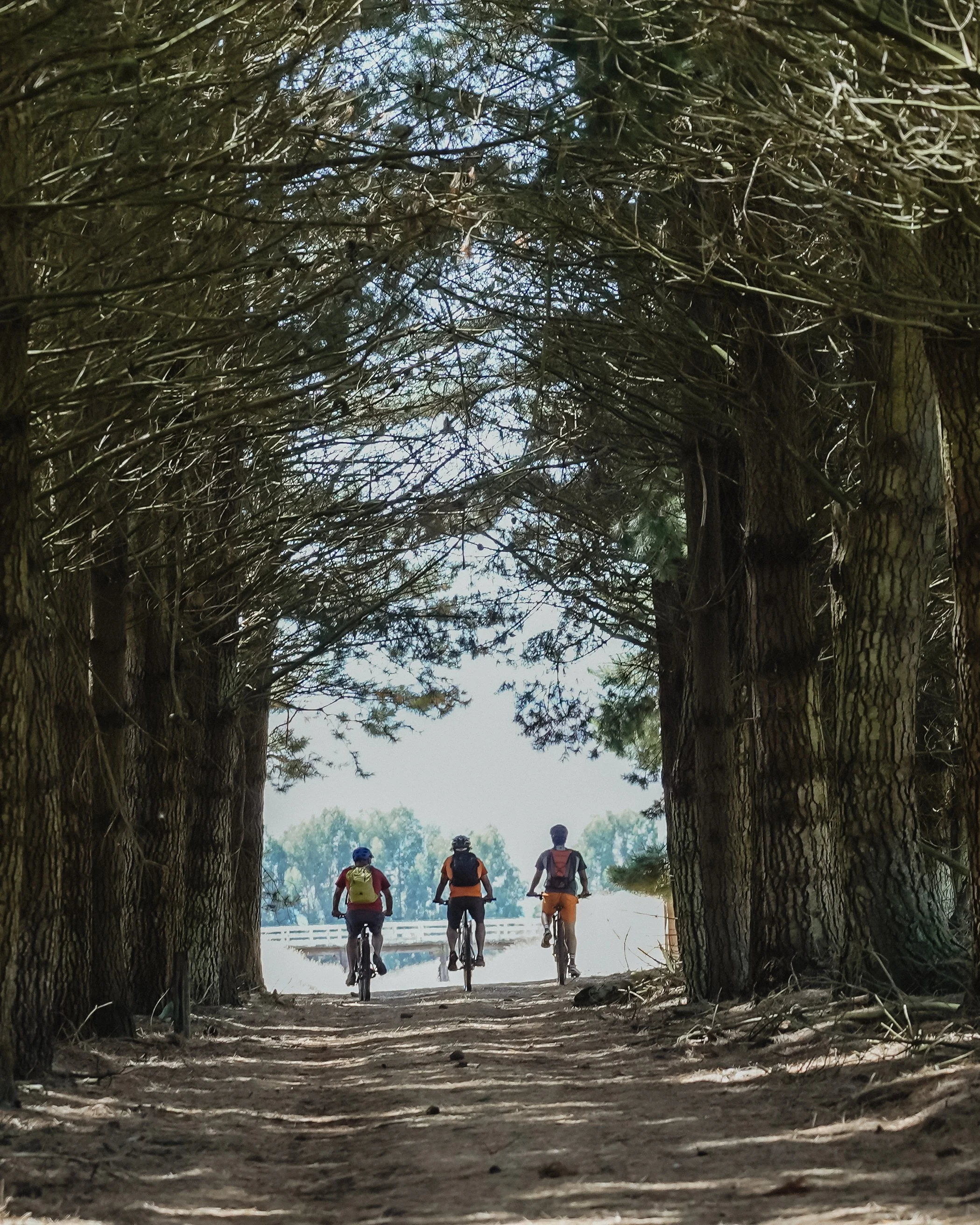 Image of Family Holiday