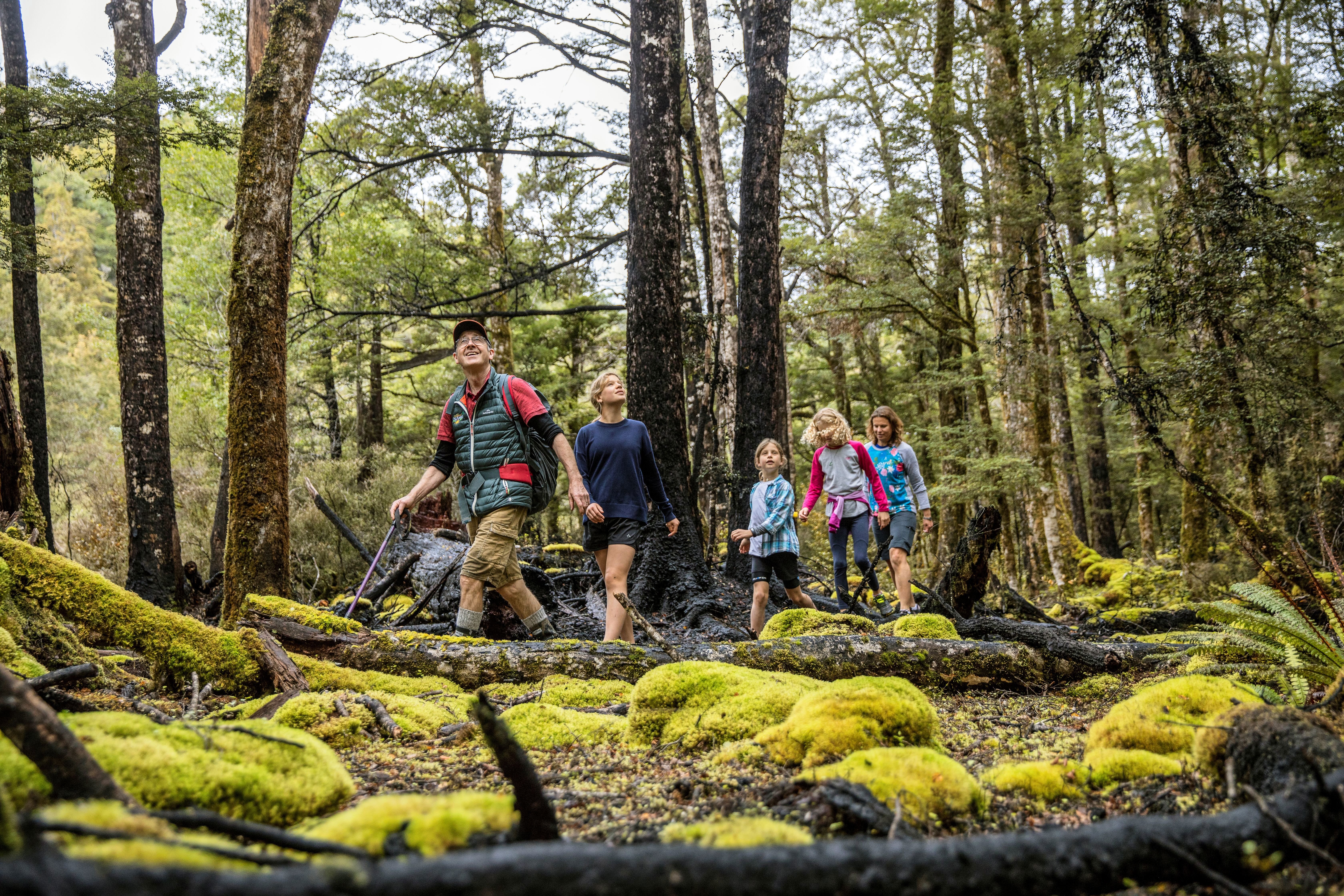 Image of Family Holiday