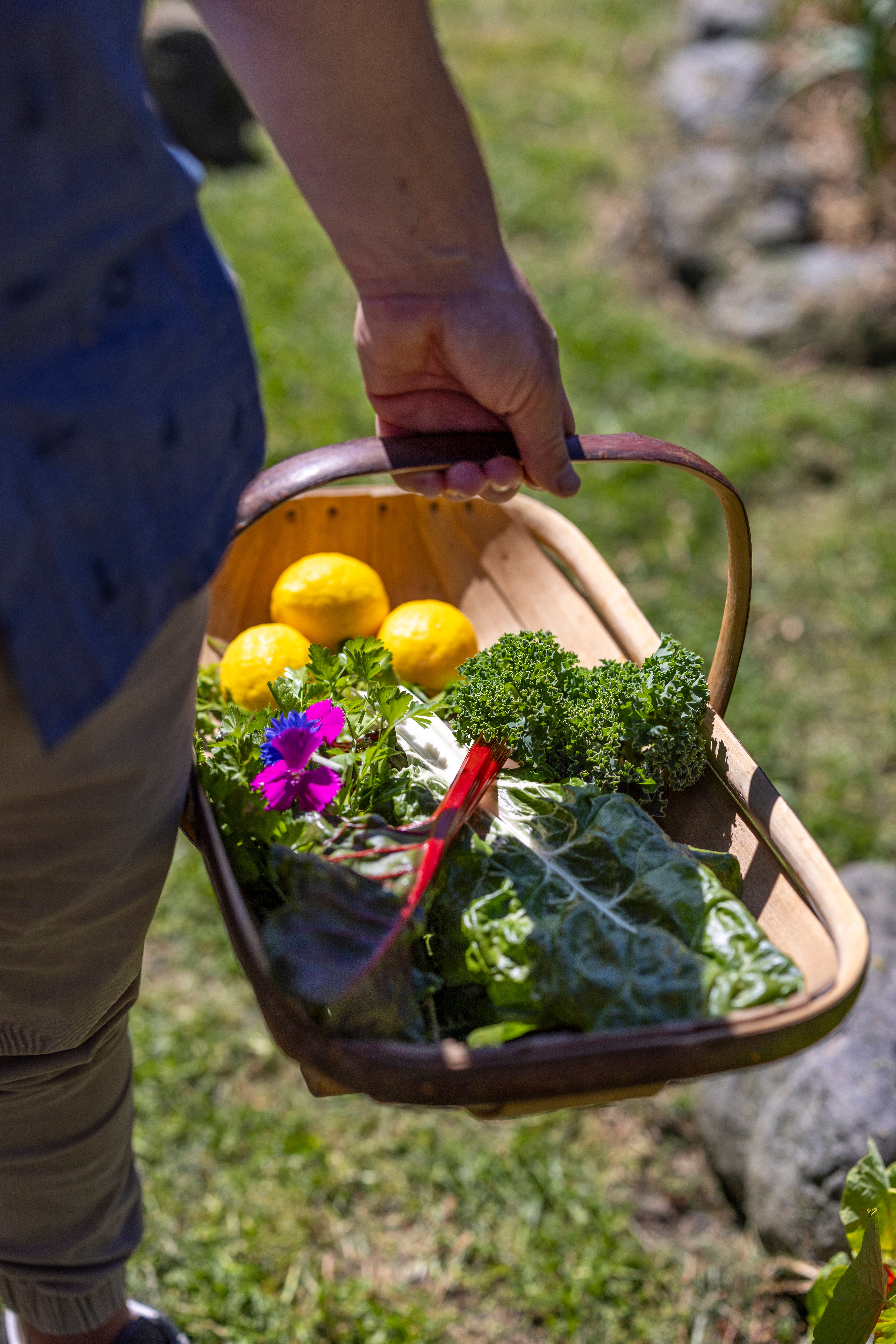 Image of Food & Wine
