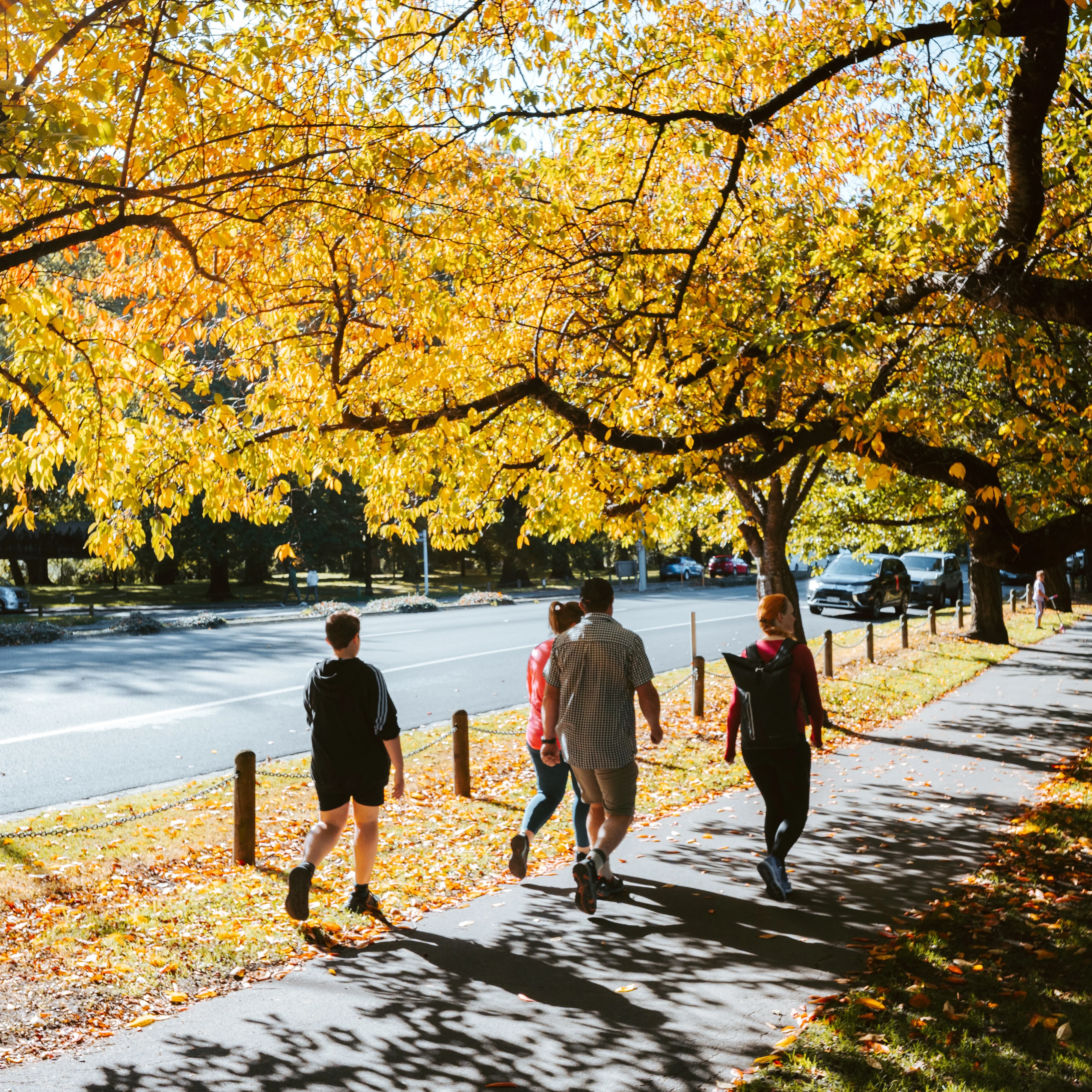 Statement Image of Christchurch
