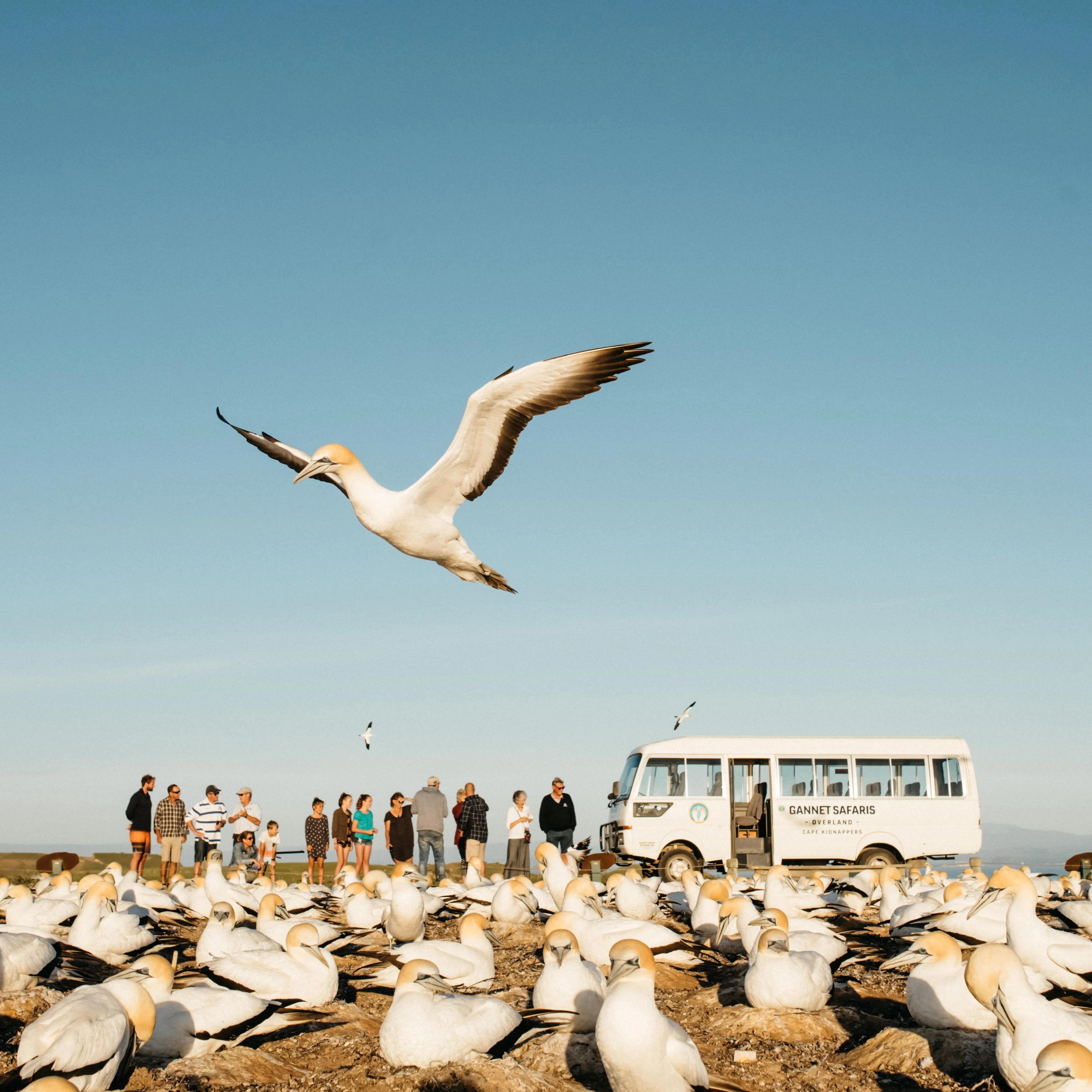 Statement Image of Hawke's Bay