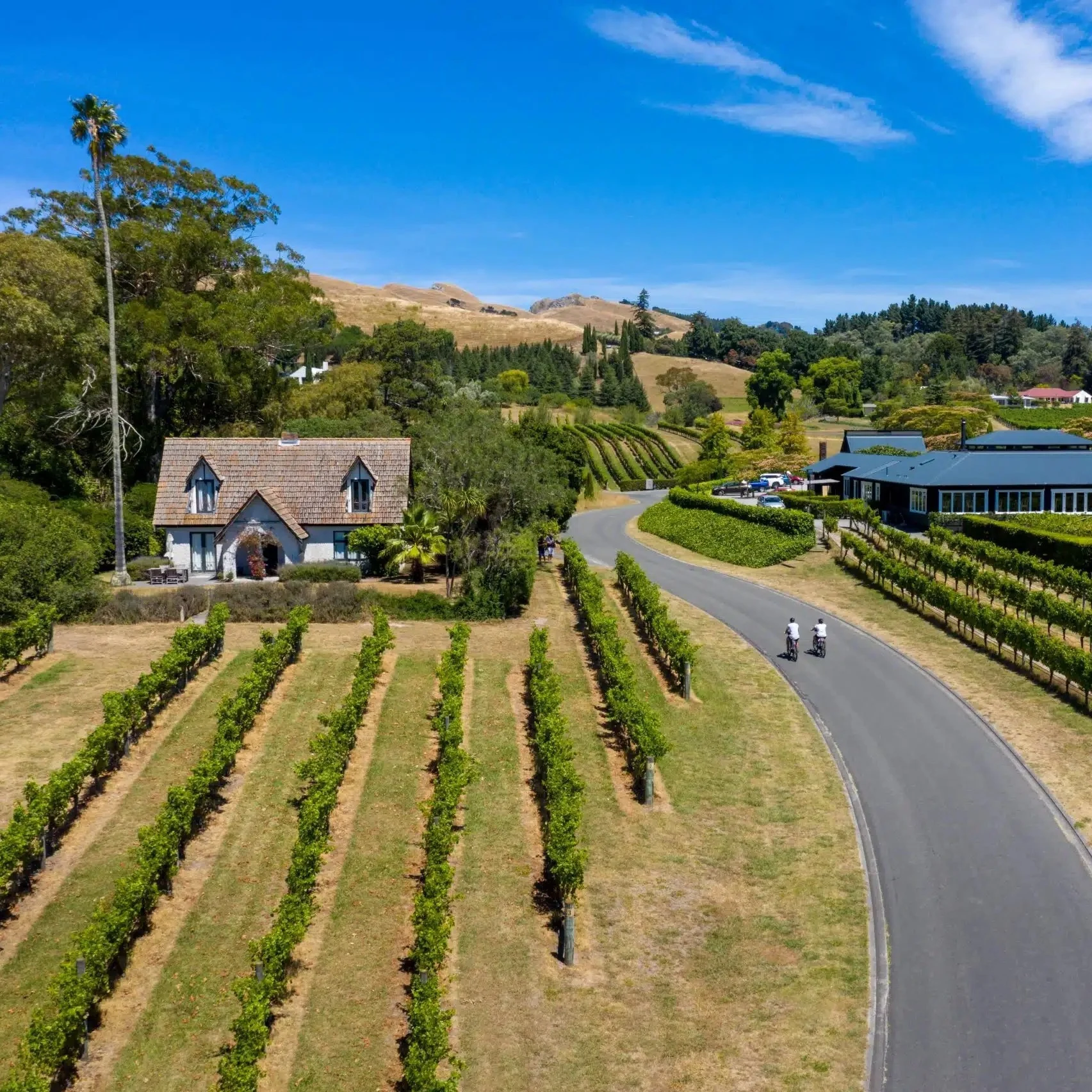 Talk To An Agent Image