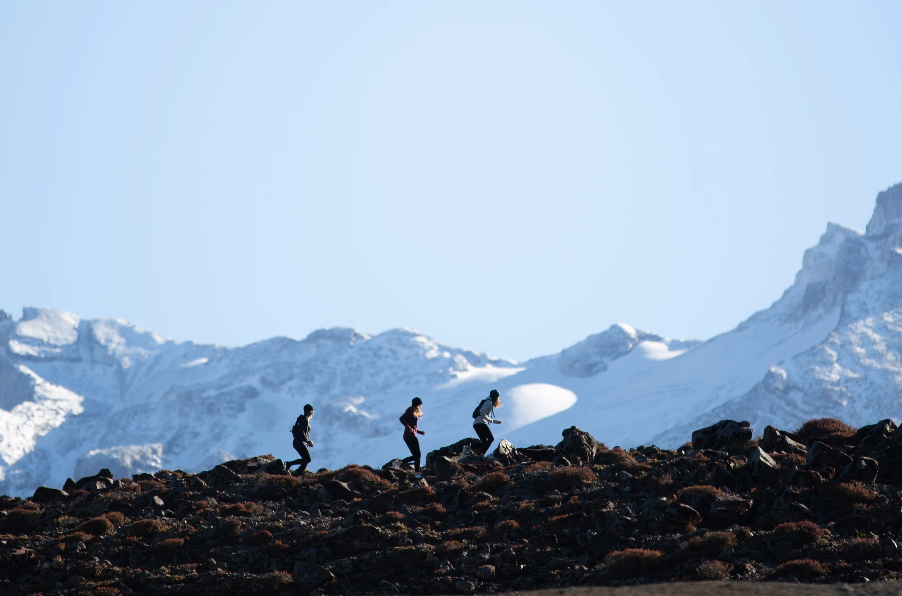 Full Page Image of Manawatu-Whanganui