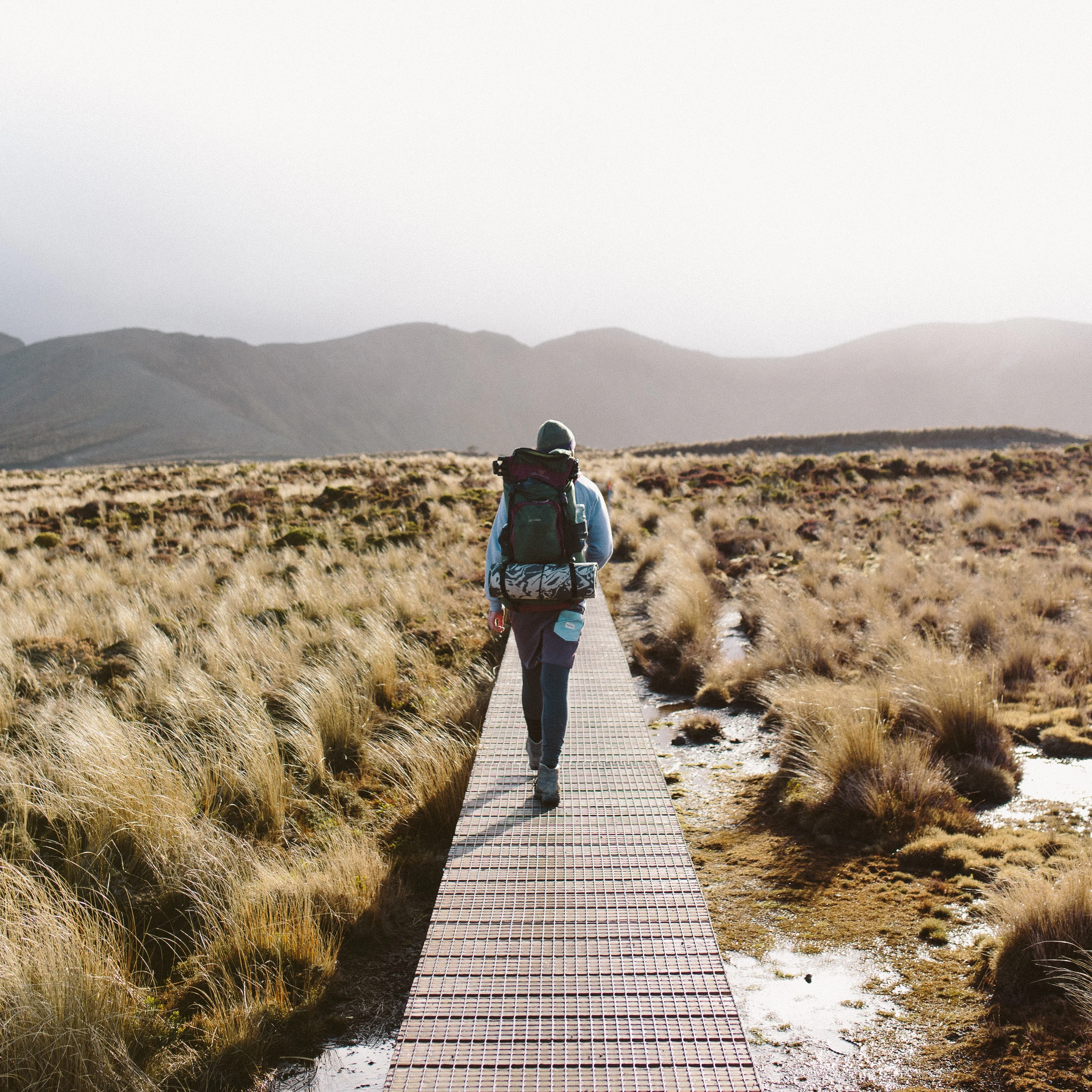 Talk To An Agent Image