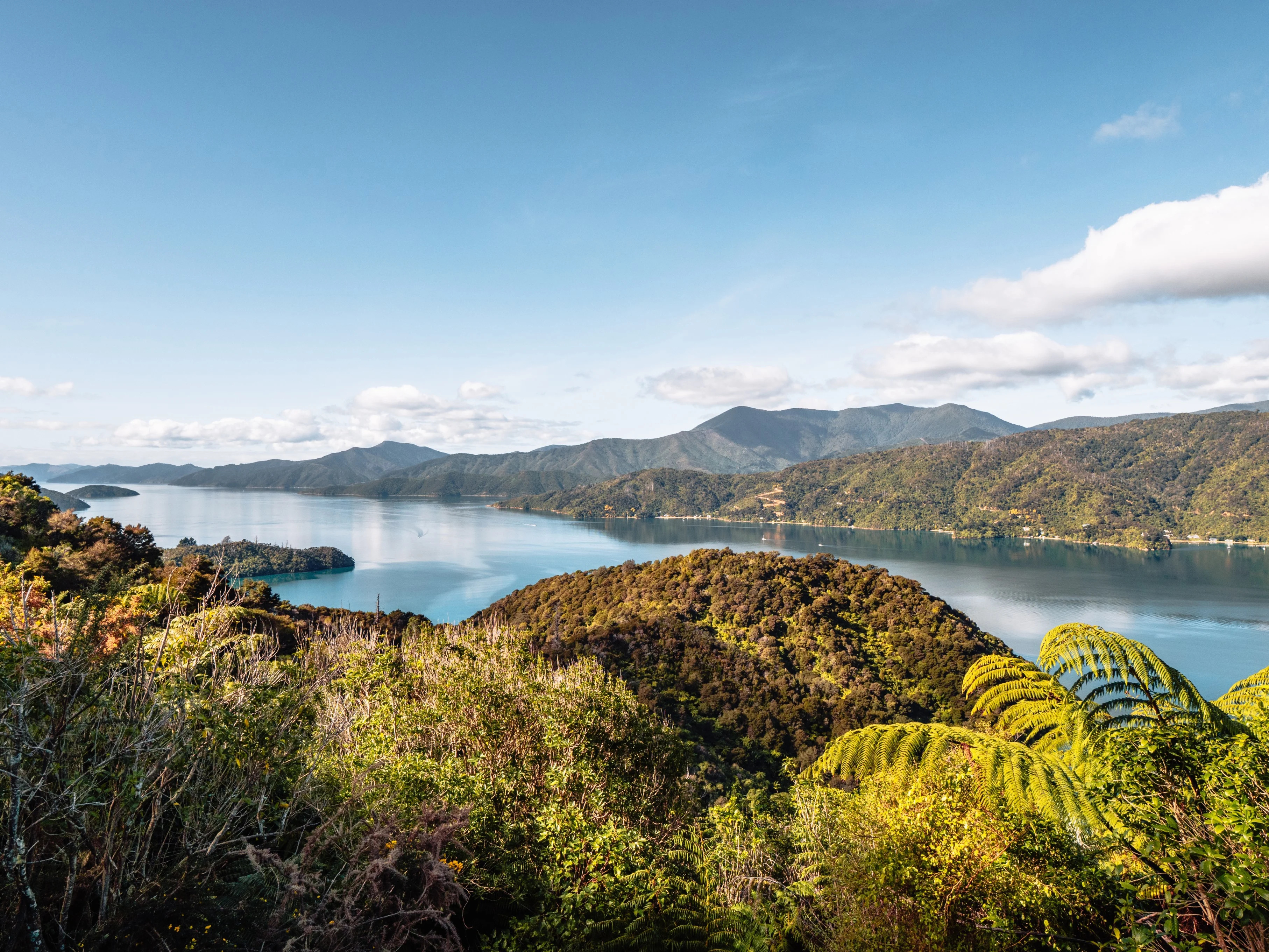 Full Page Image of Marlborough