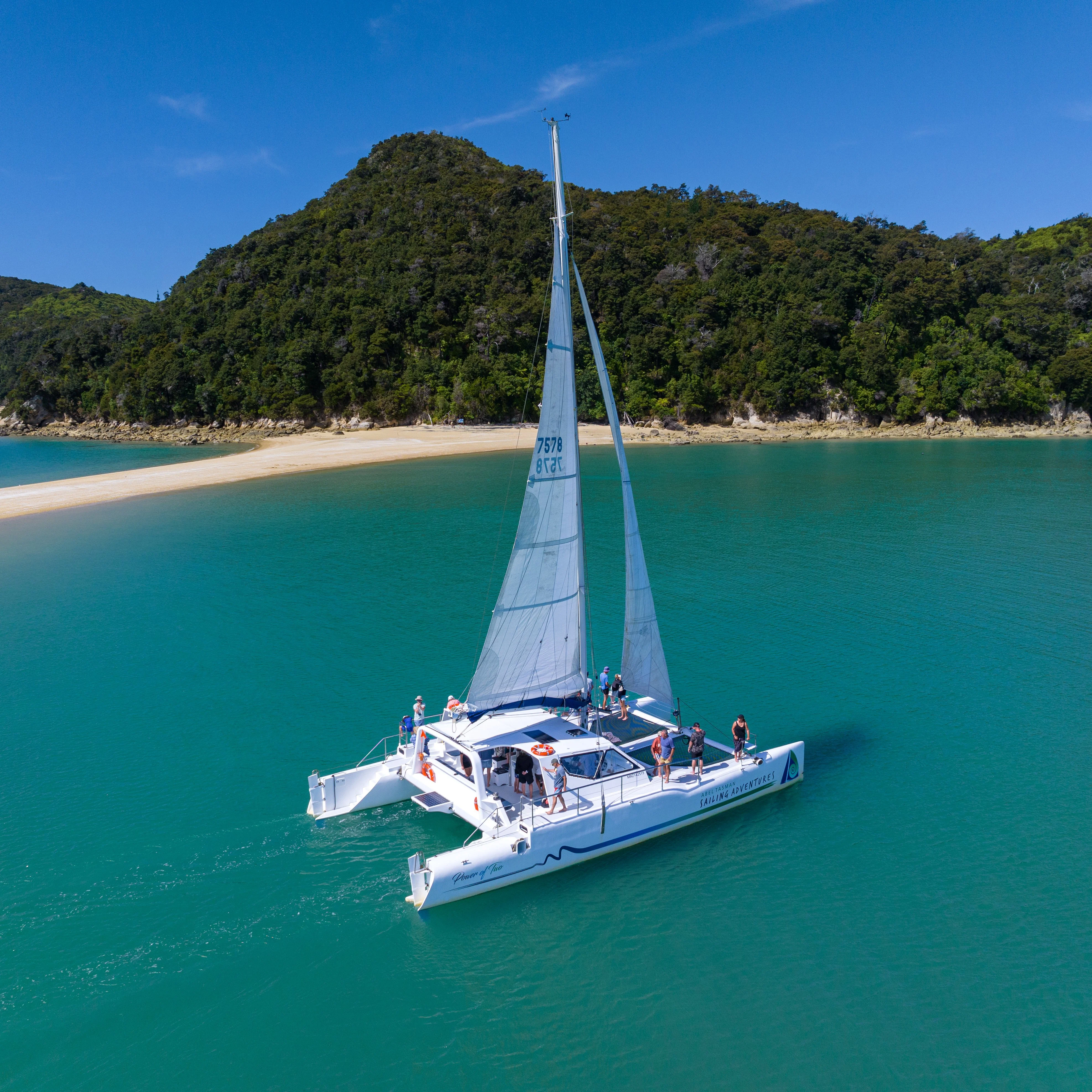 Statement Image of Nelson