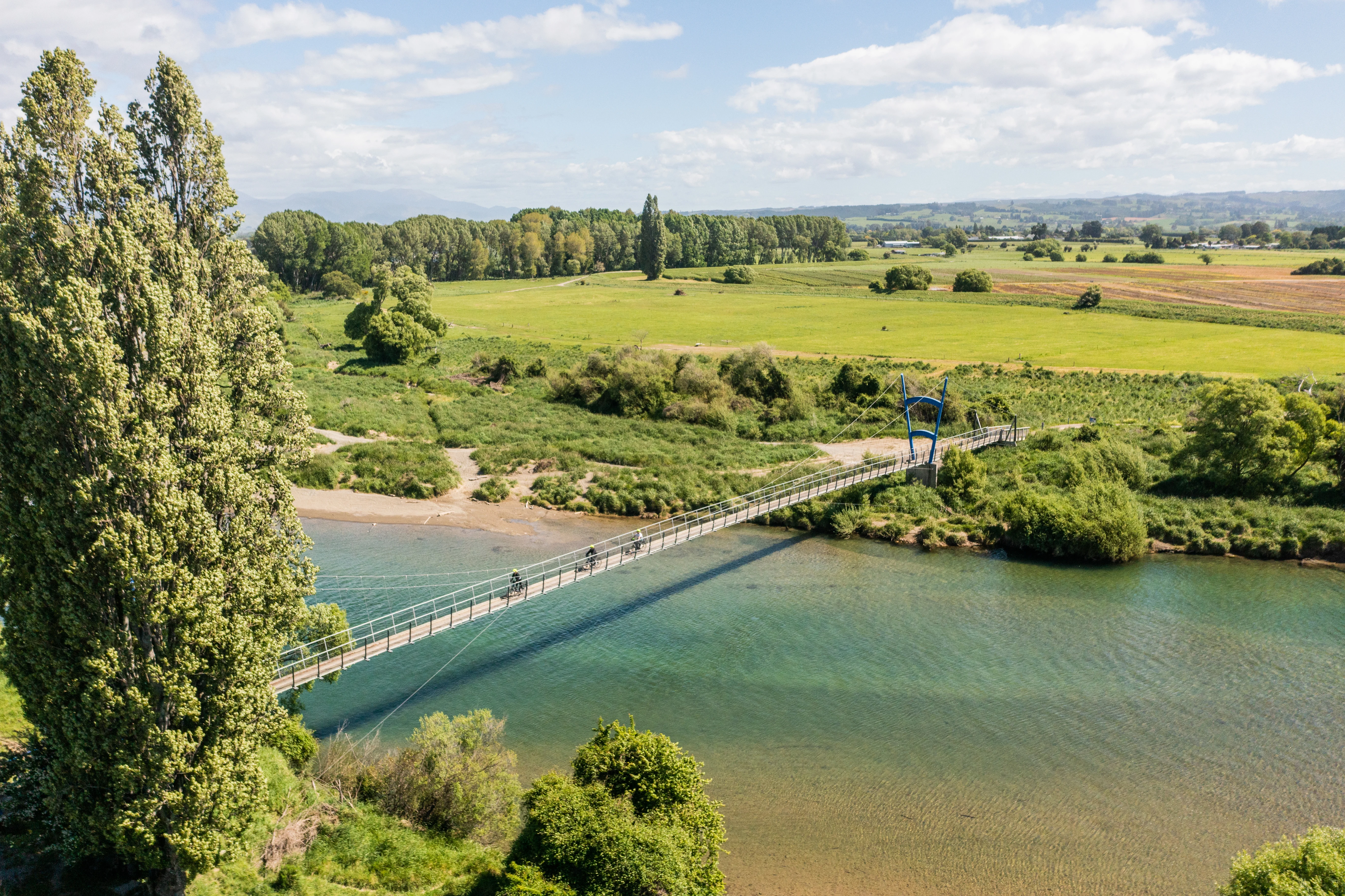 Full Page Image of Nelson