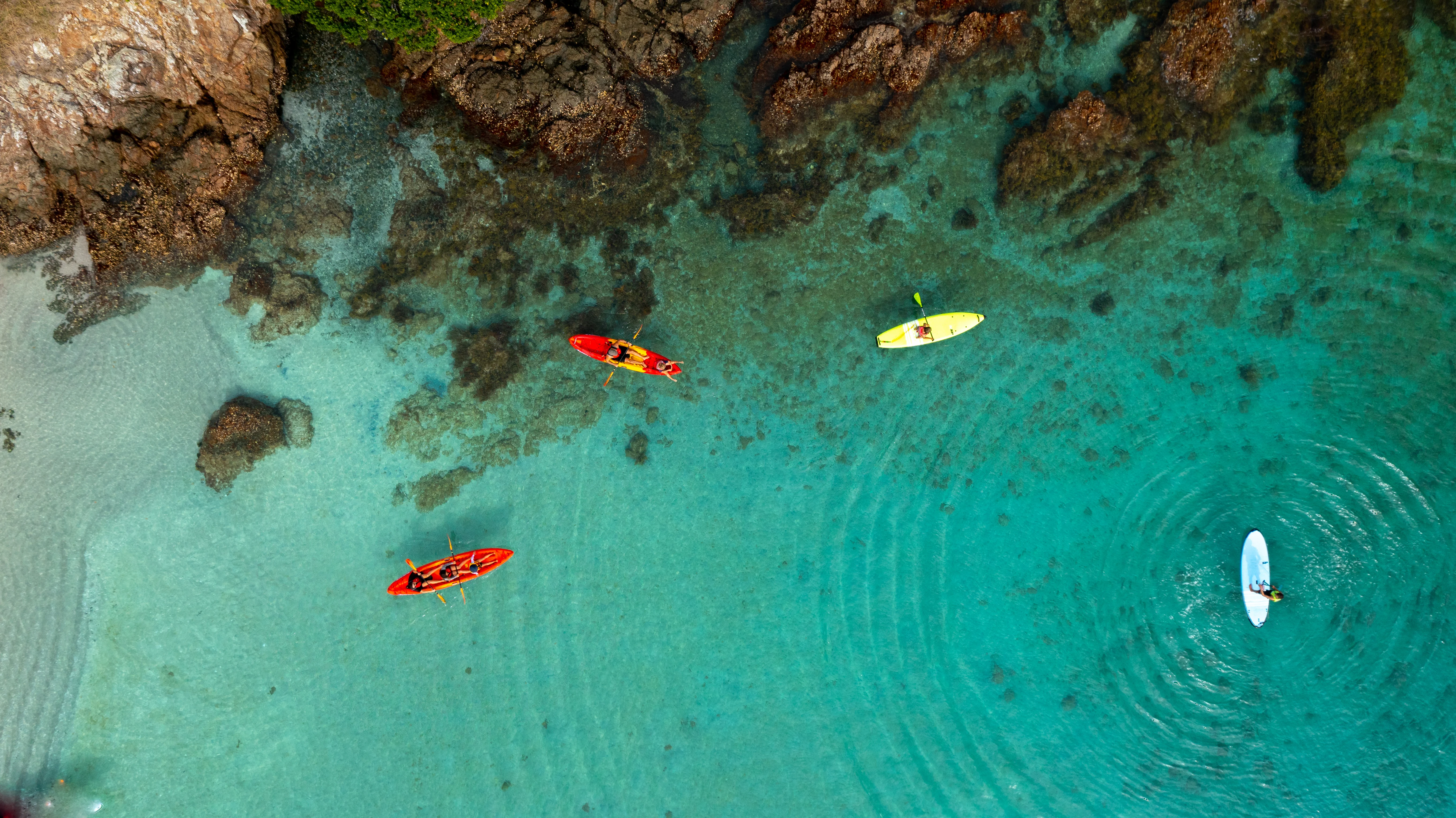 Full Page Image of Northland