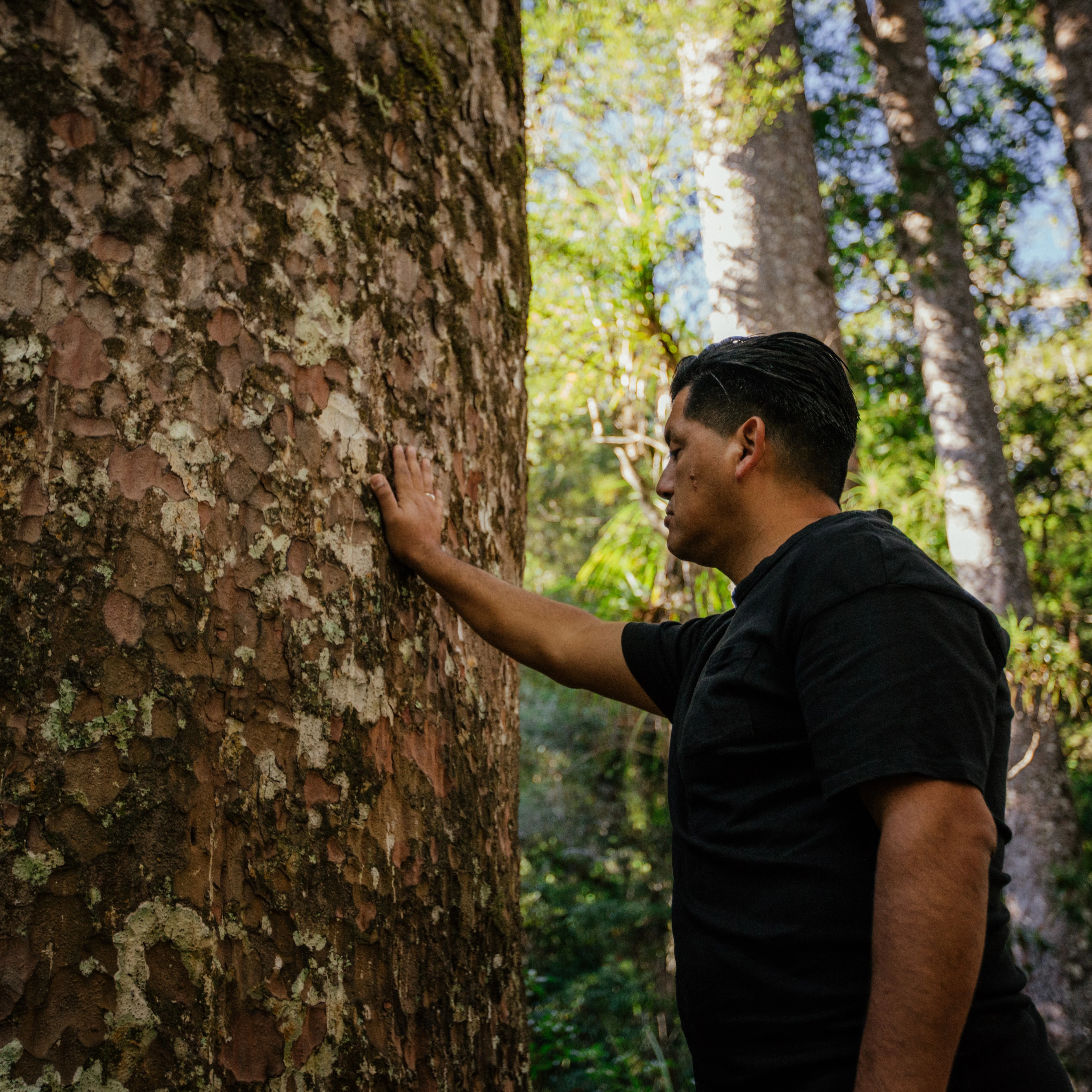 Talk To An Agent Image