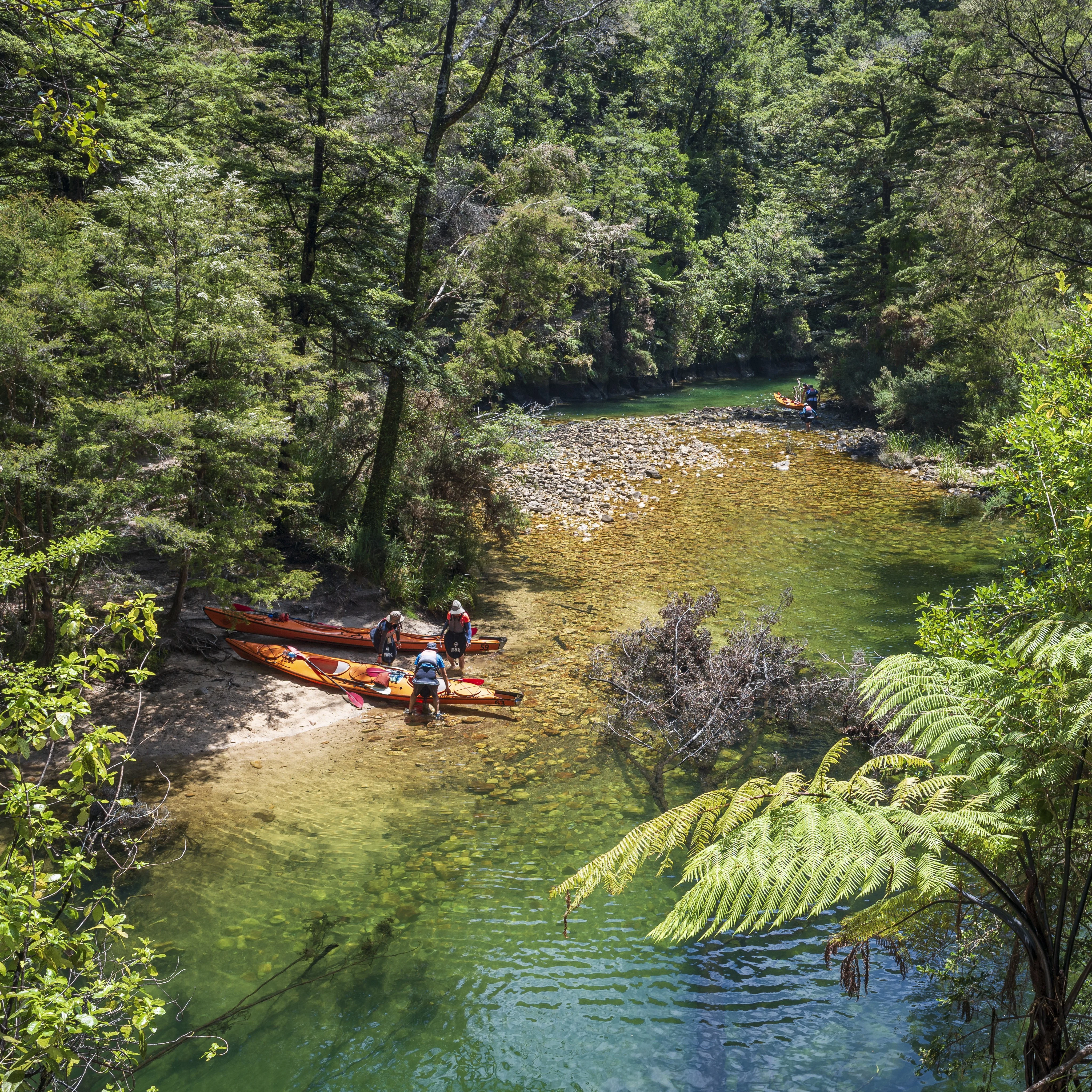 Statement Image of Tasman