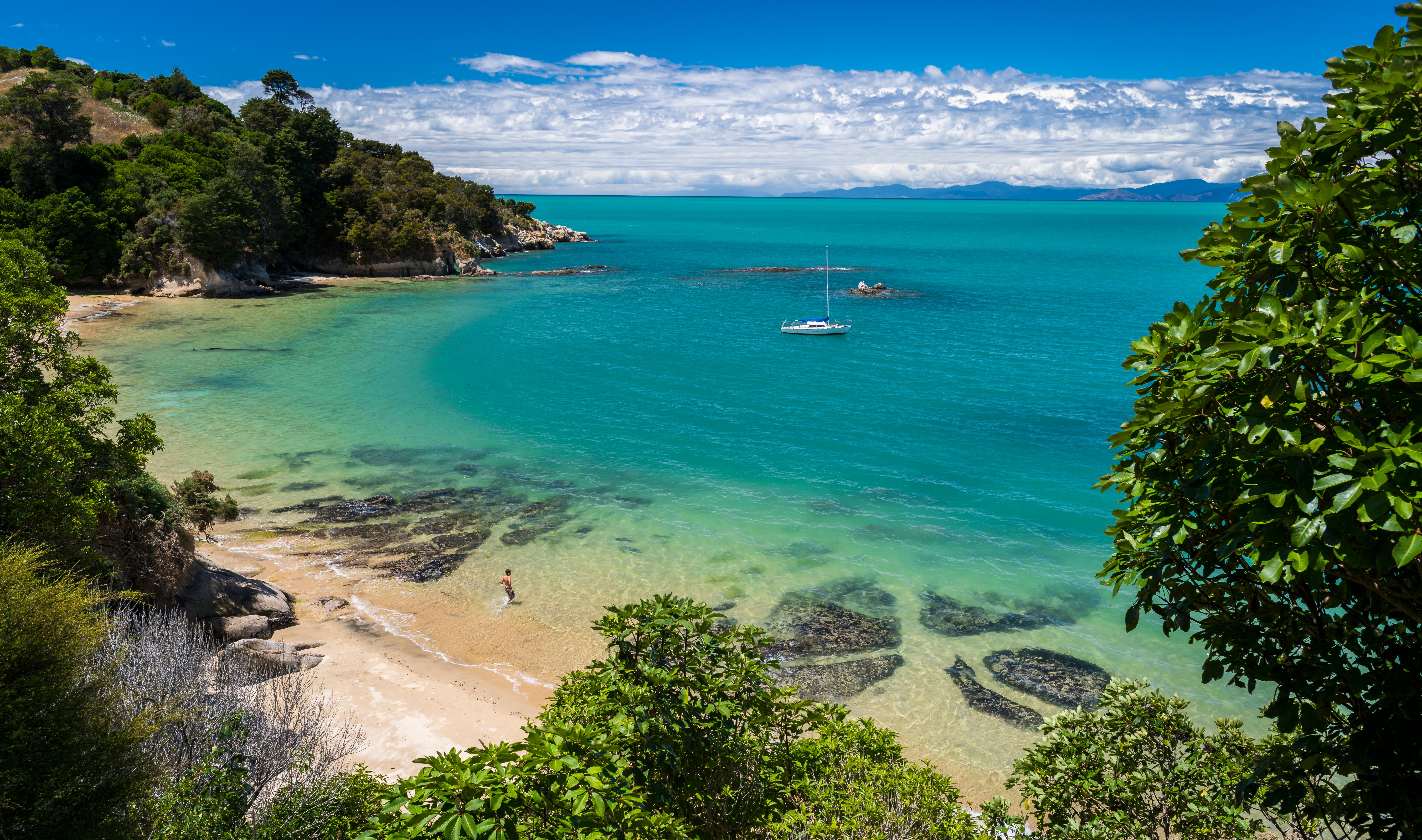 Full Page Image of Tasman