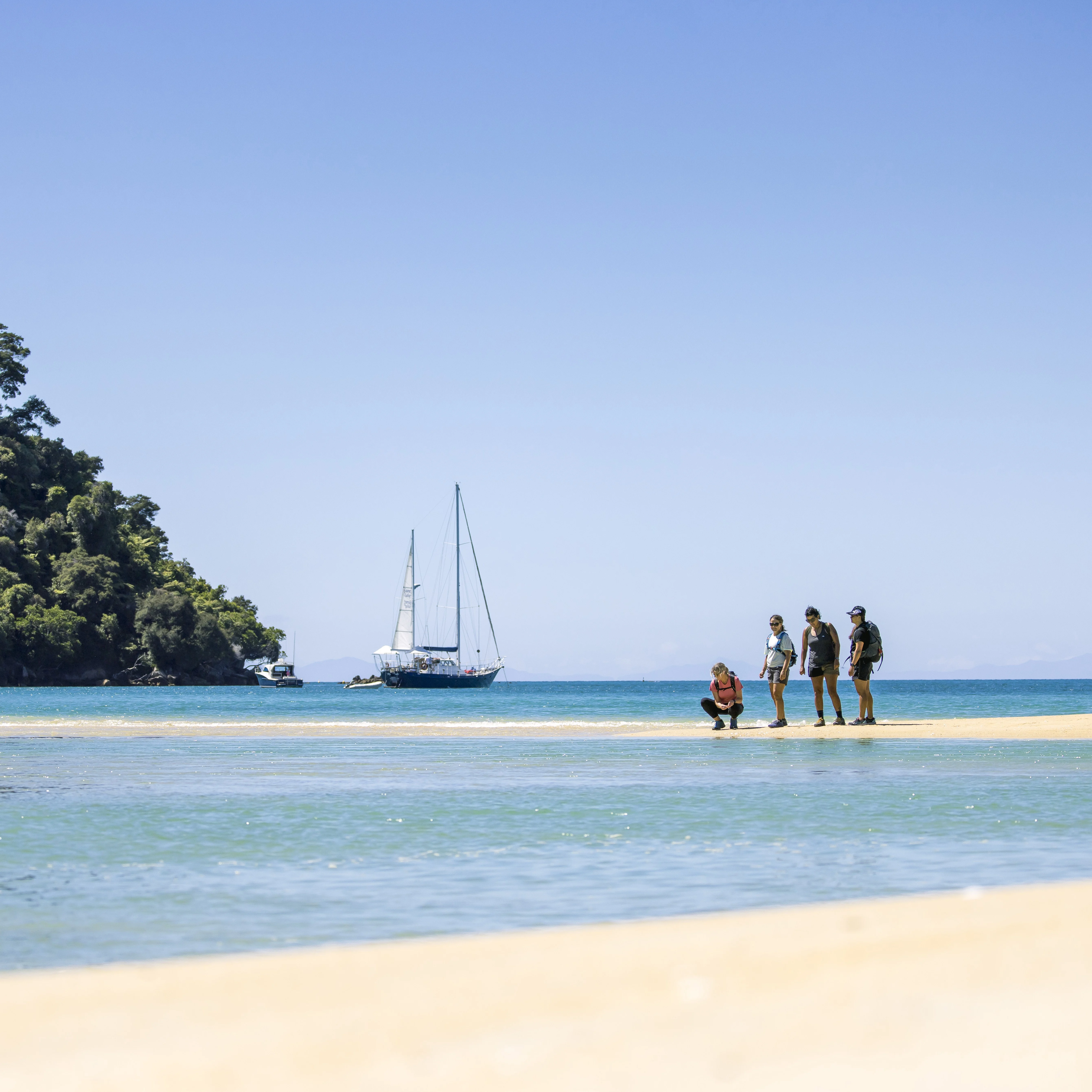 Talk To An Agent Image