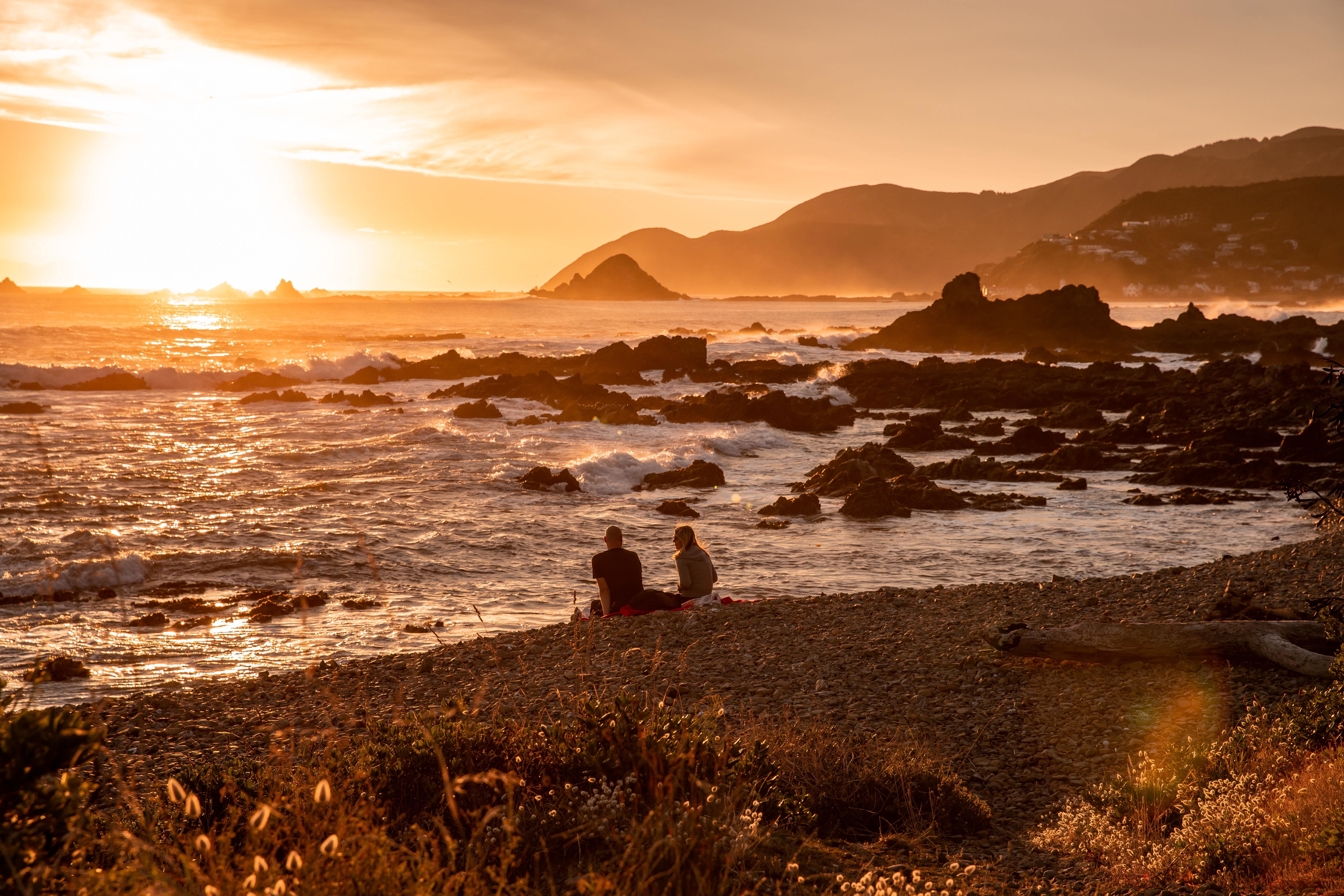 Full Page Image of Wellington