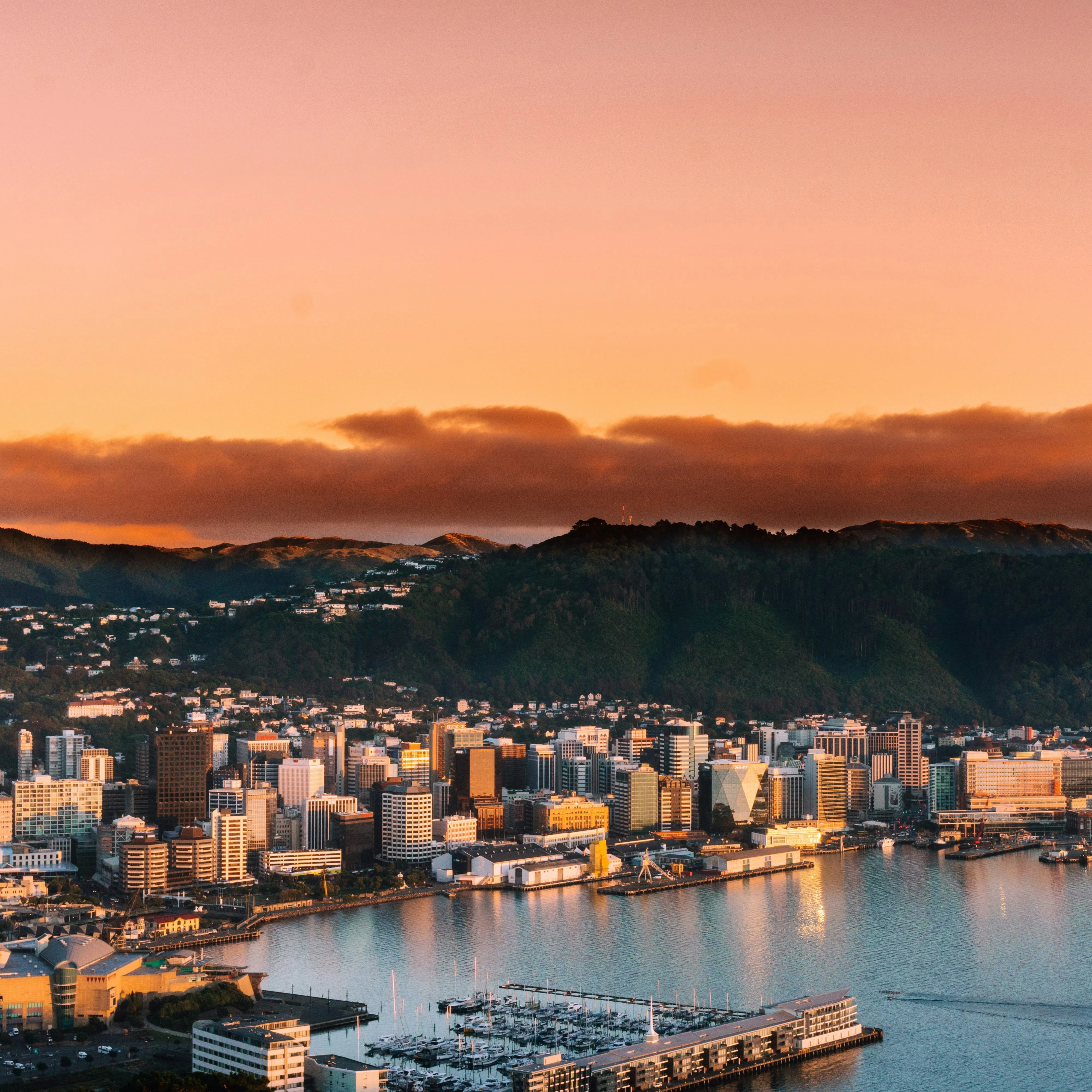 Talk To An Agent Image