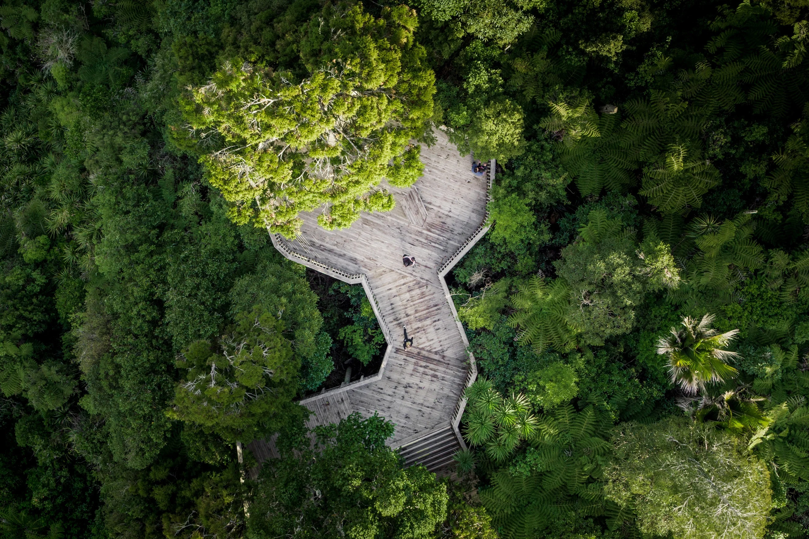 Full Page Image of Auckland