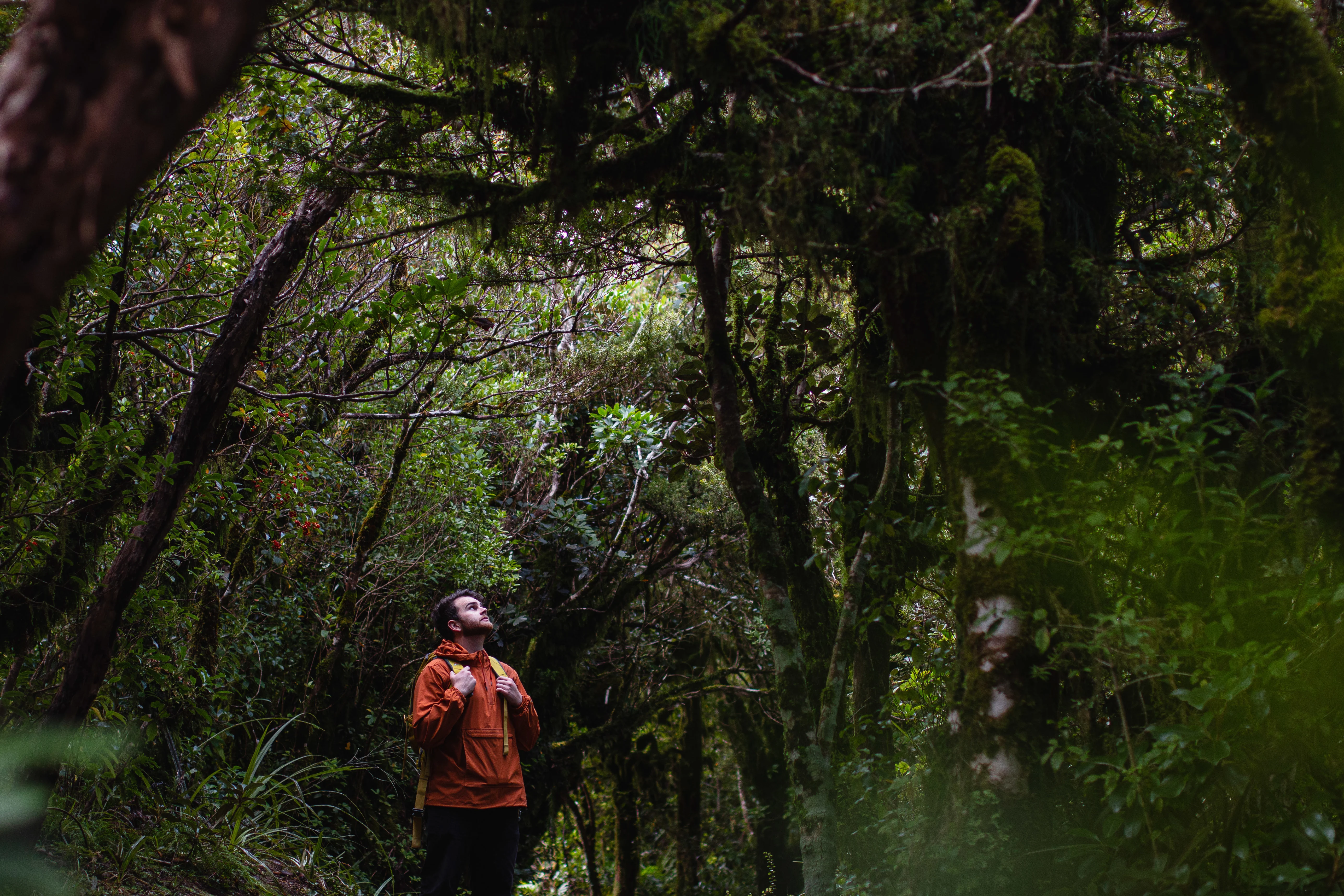 Talk To An Agent Image