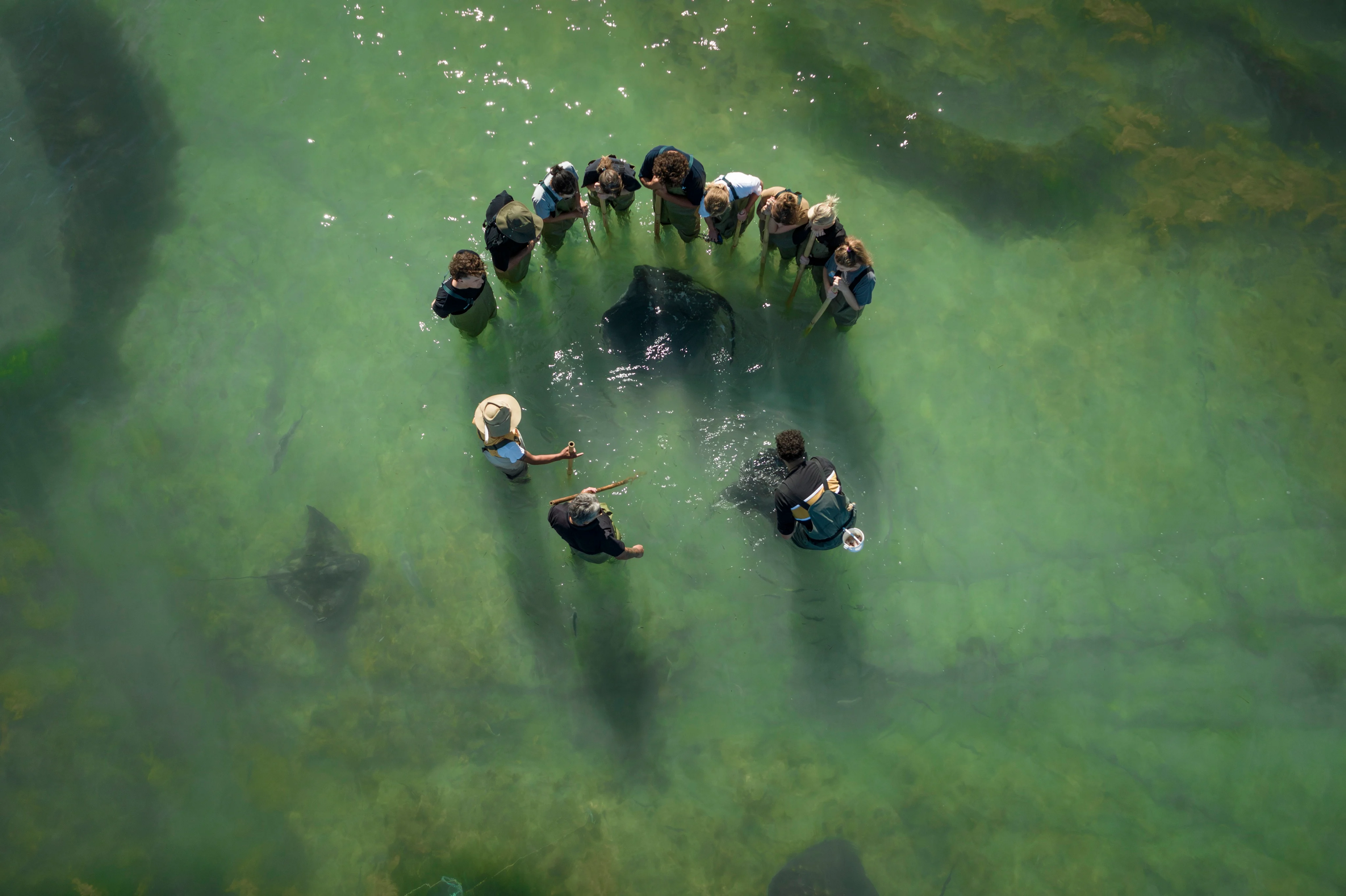 Statement Image of Gisborne