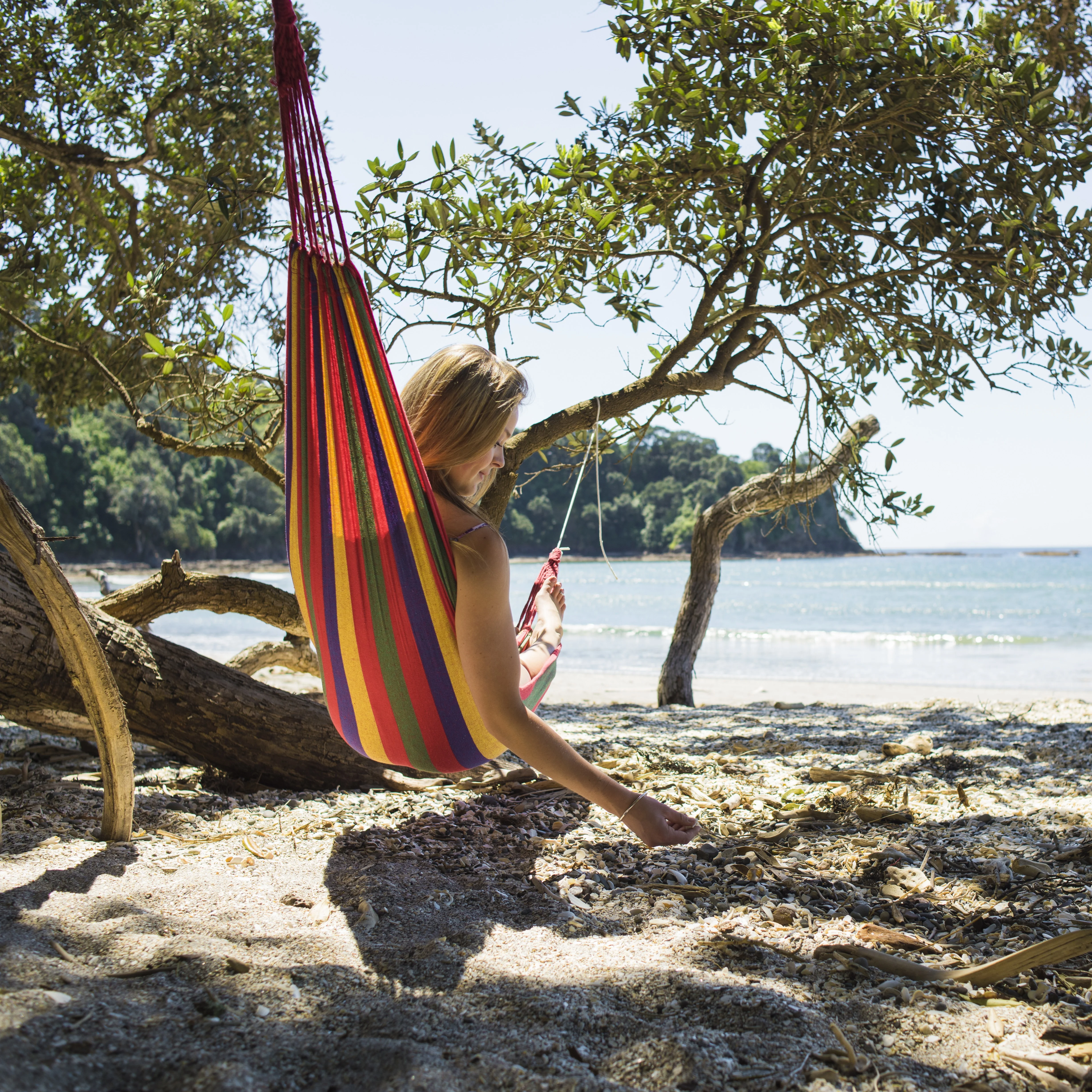 Hero Image of Bay of Plenty