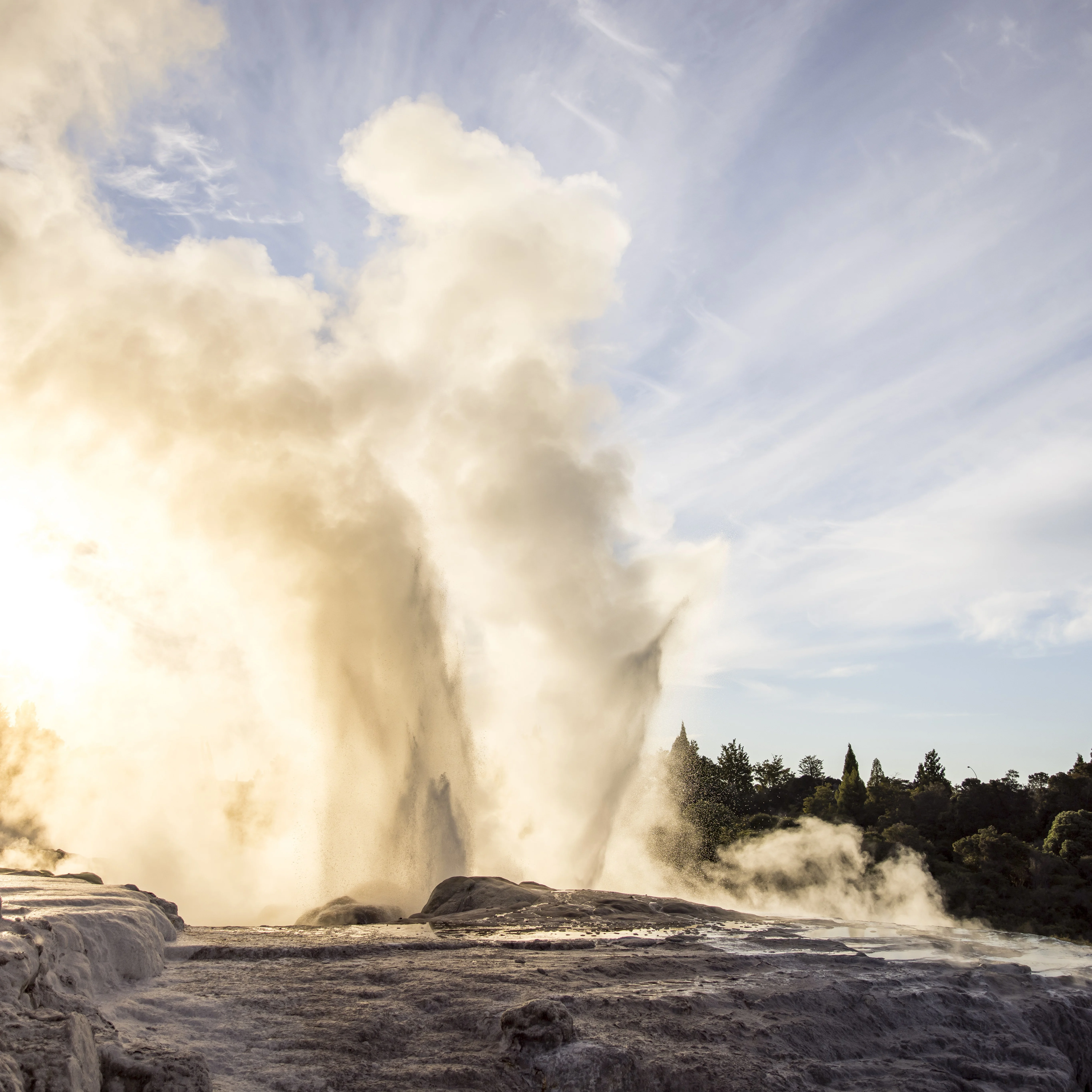 Hero Image of Rotorua