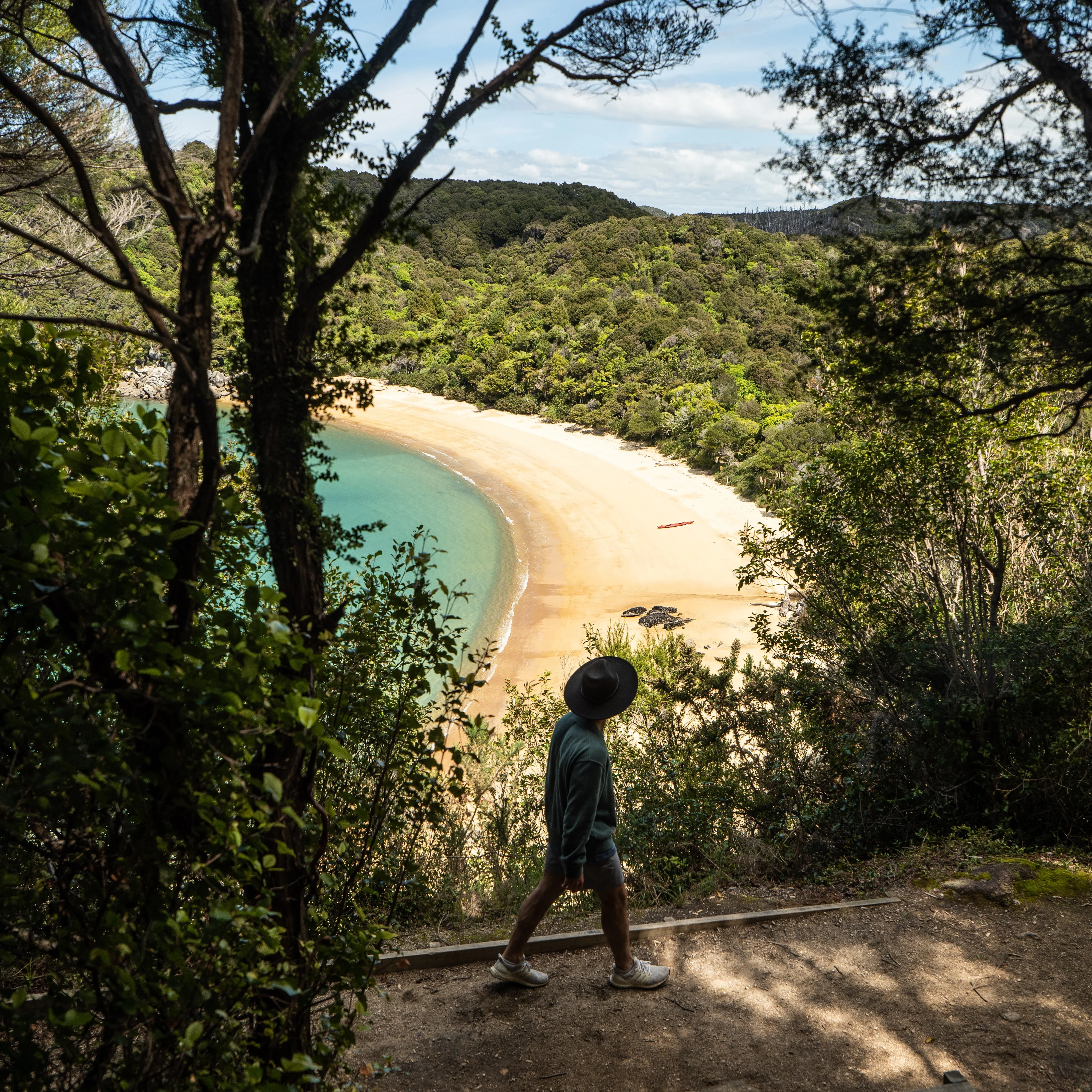 Hero Image of Tasman