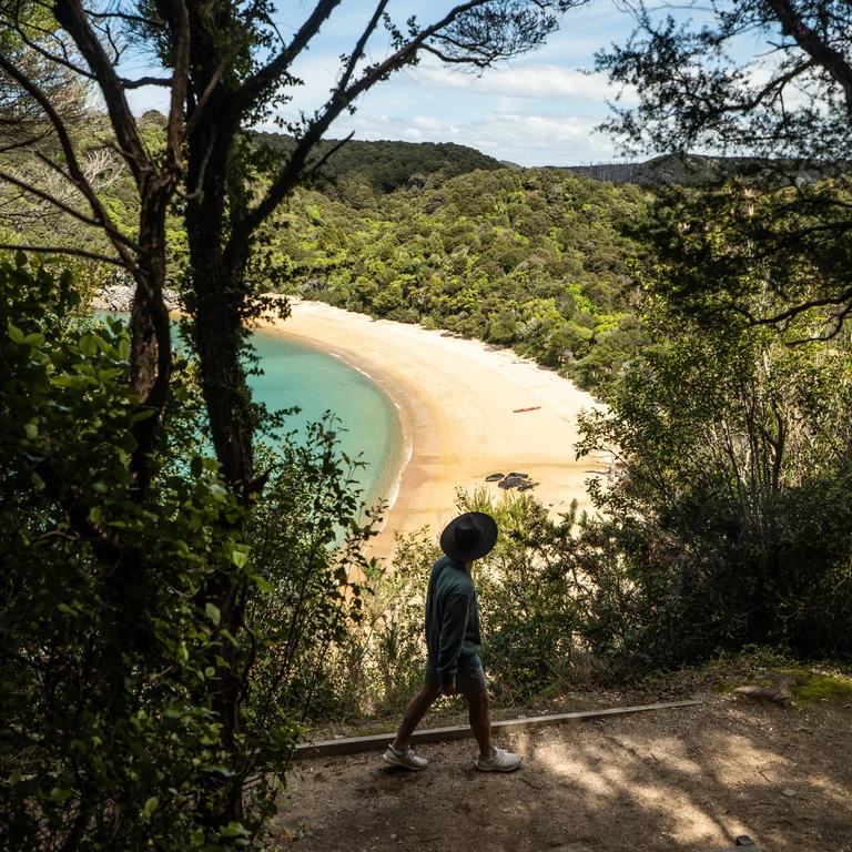 Hero Image of Tasman