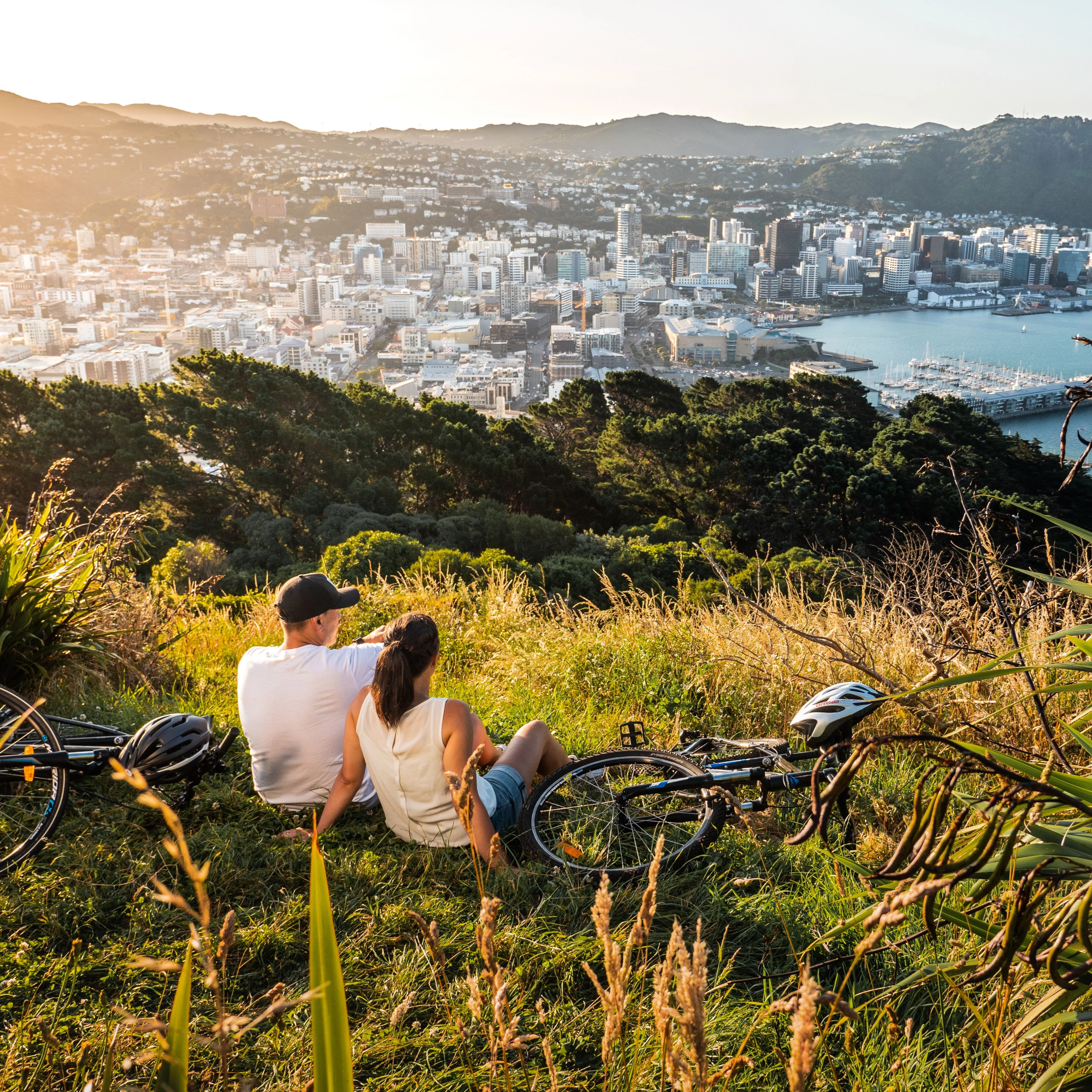 Hero Image of Wellington