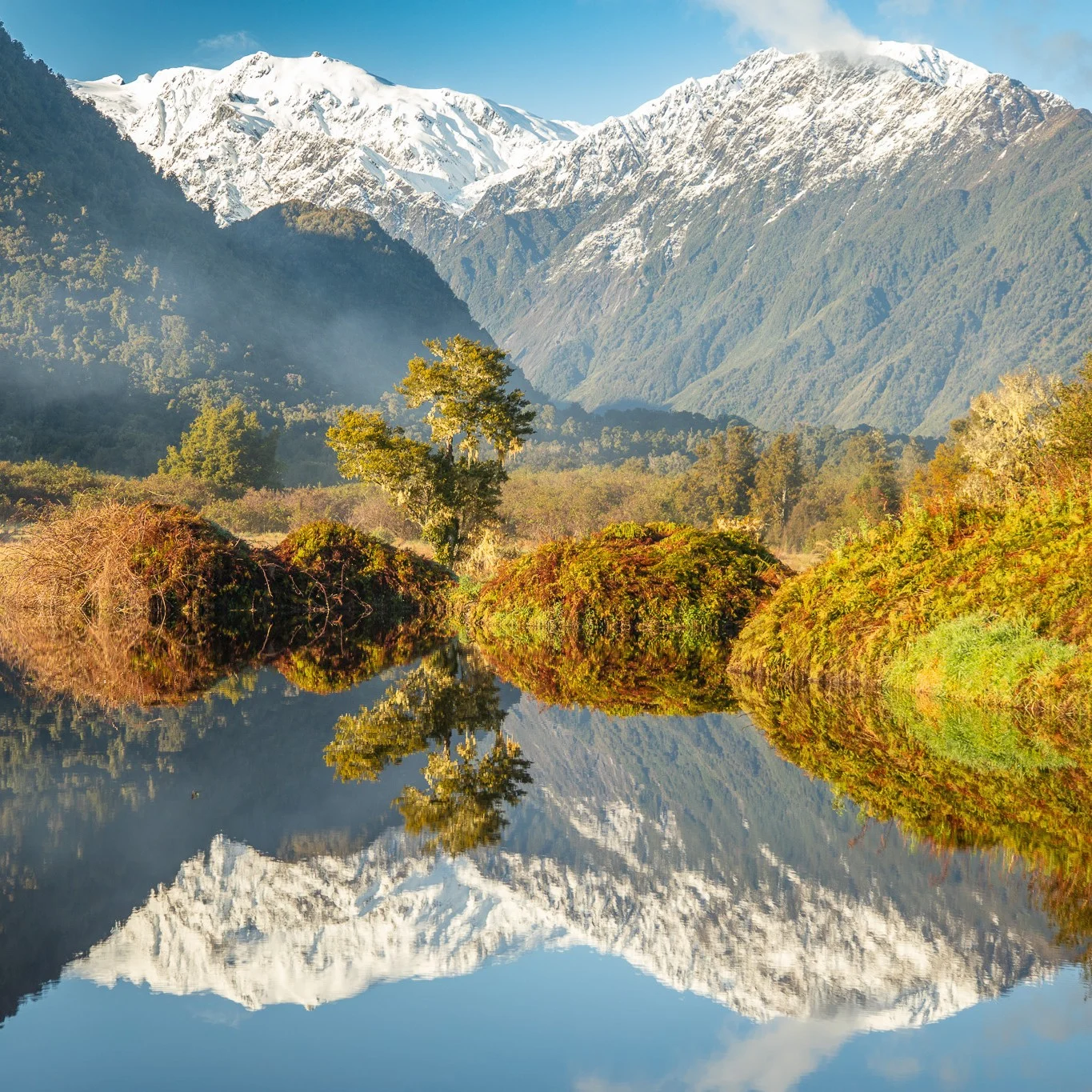 Hero Image of West Coast