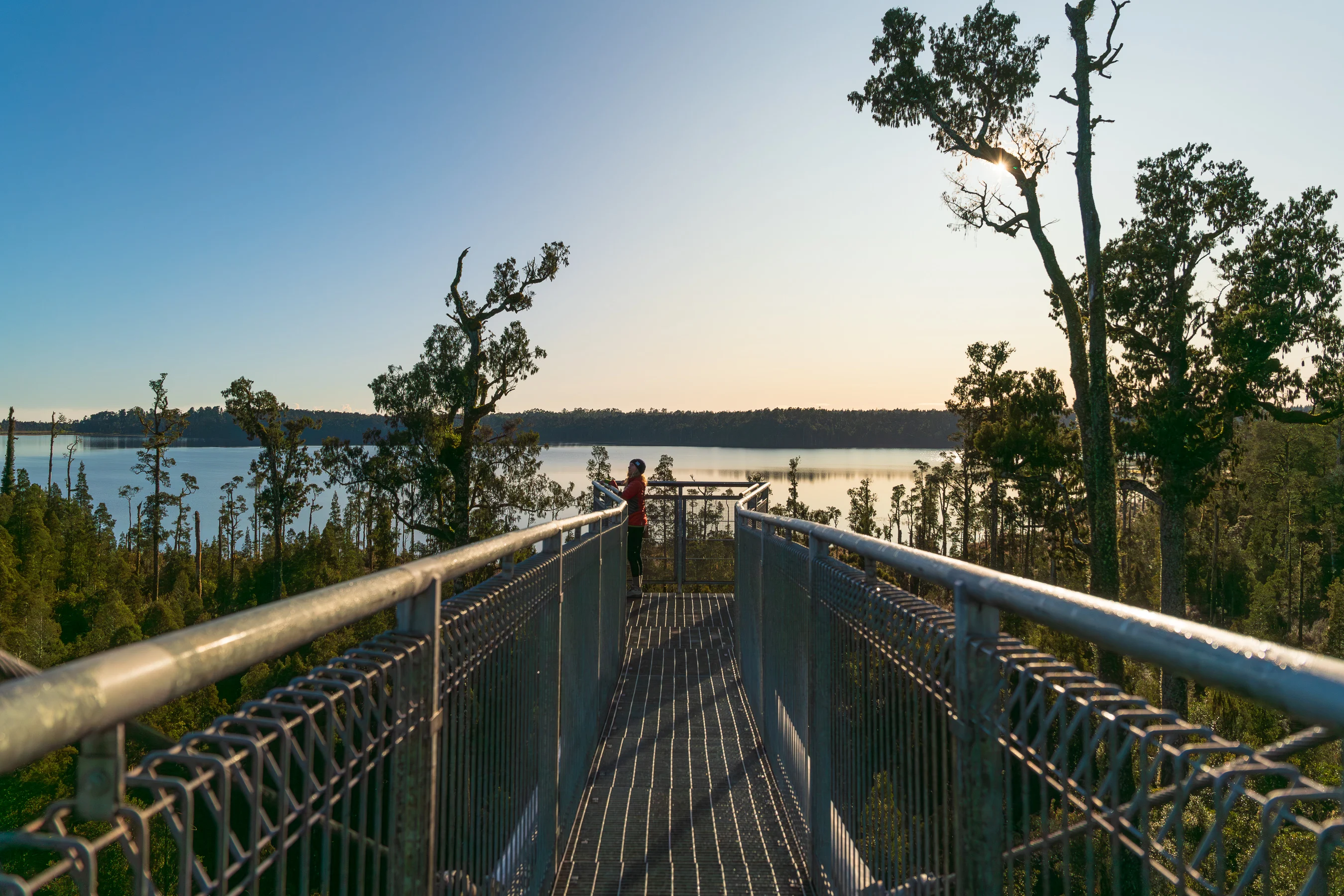 Treetop Walk
