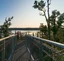 Treetop Walk