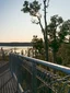 Treetop Walk experience