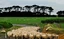 Palliser Bay