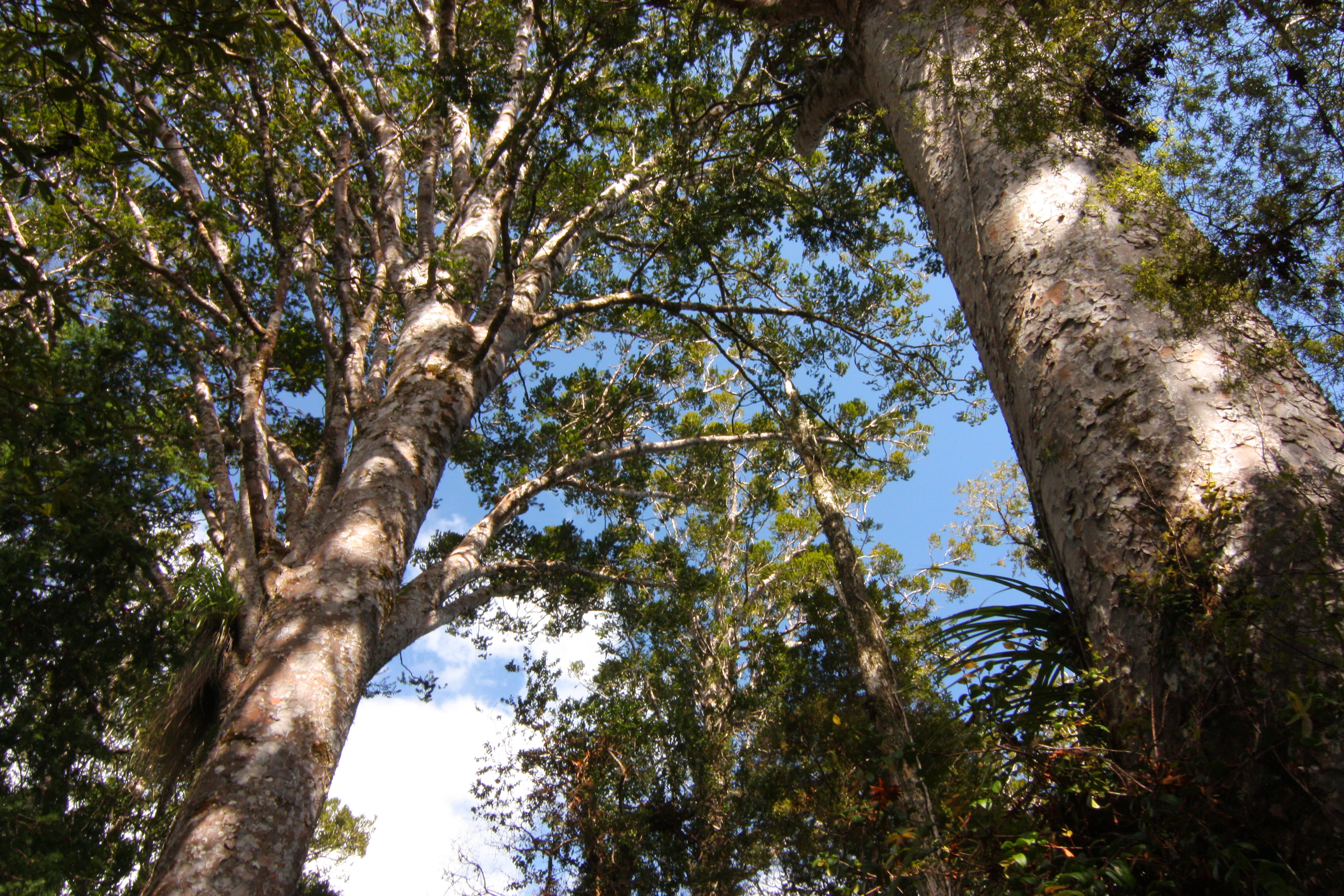Natural Wonders Area Tour experience