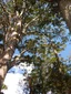 Natural Wonders Area Tour experience