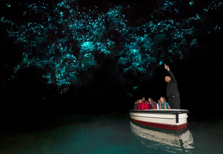 Waitomo Glowworm and Ruakuri Cave