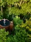 Secret Spot Hot Tubs experience