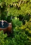 Secret Spot Hot Tubs