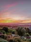 Rosewood Cape Kidnappers experience