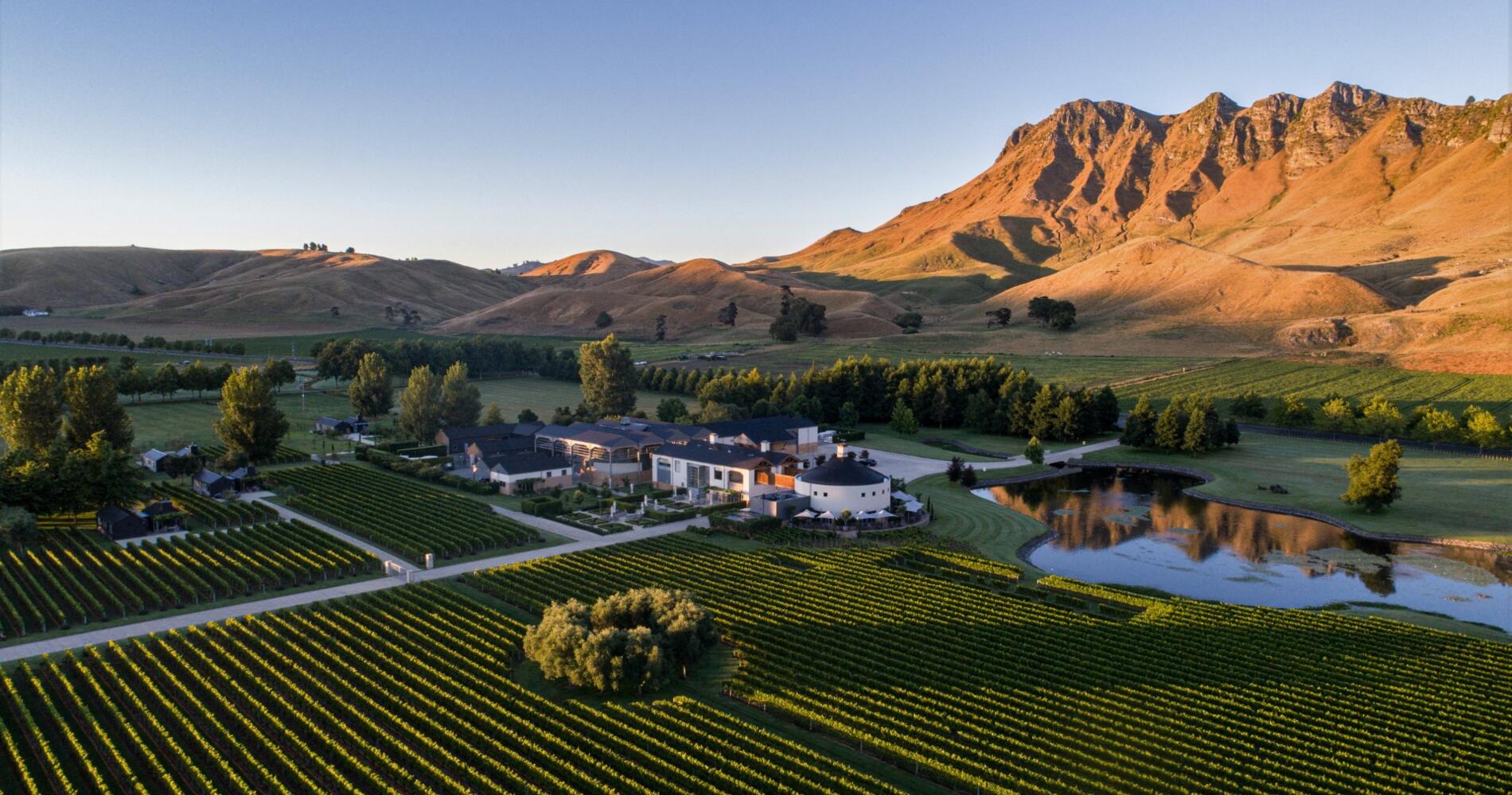 Full Day Wine Tour Experience experience