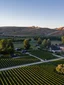 Full Day Wine Tour Experience experience