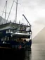 Patea / Doubtful Sound Overnight Cruise experience
