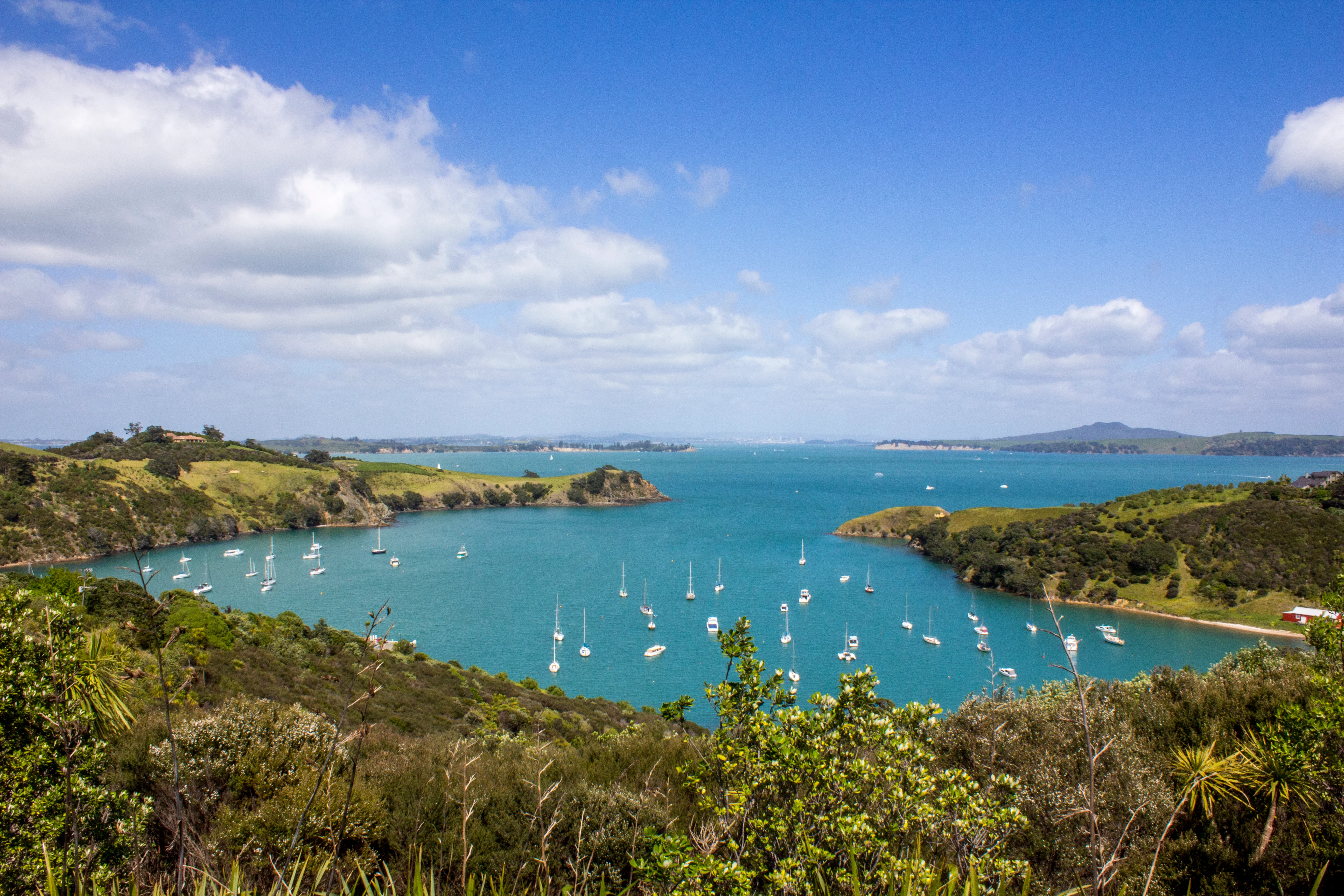 Waiheke Island Reserve Ferry Return