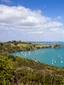 Waiheke Island Reserve Ferry Return experience